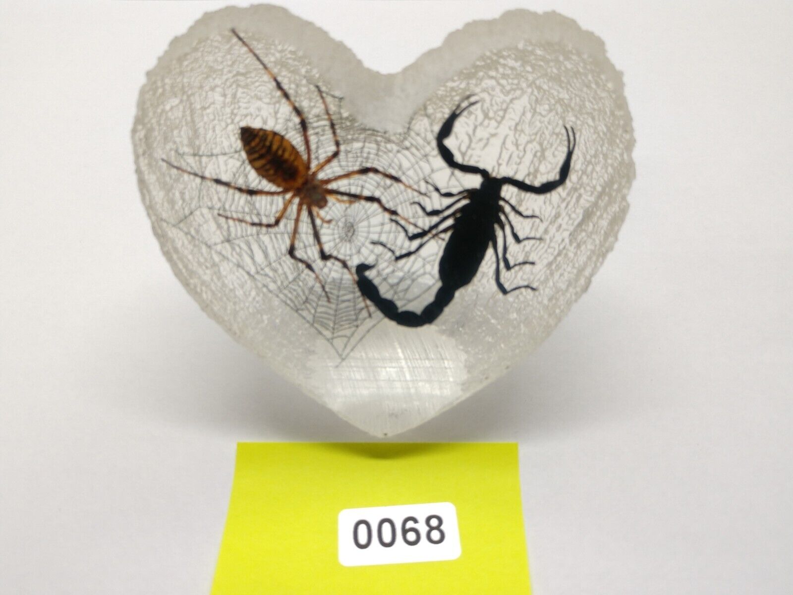 Real Spider And Scorpion Encased In Lucite Shaped  Heart