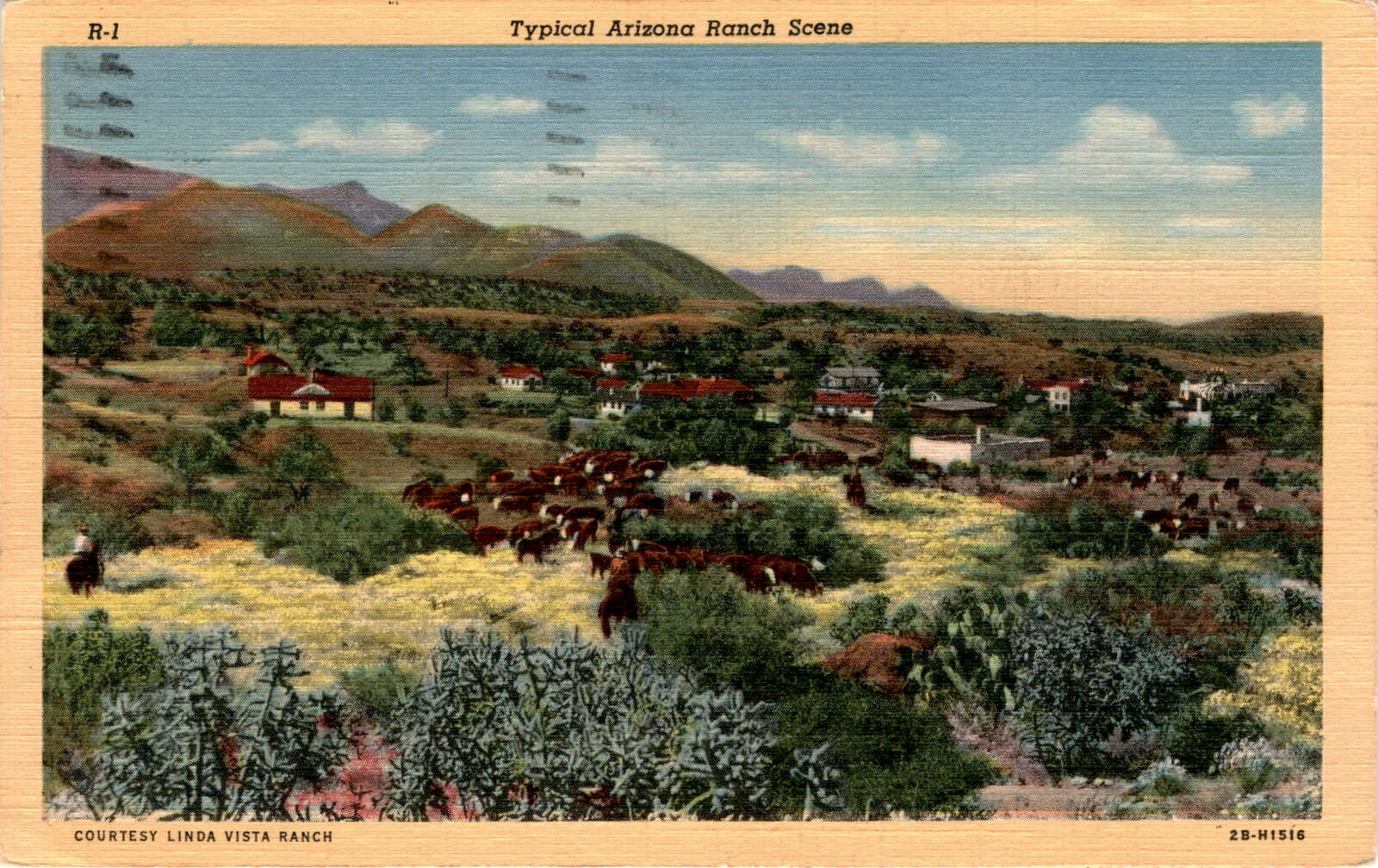 Arizona, Linda Vista Ranch, Tucson, Anna, Elaine, Easter Sunday, Postcard