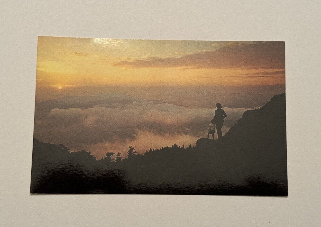 Postcard North Carolina Grandfather Mountain Sunset Above The Clouds NC