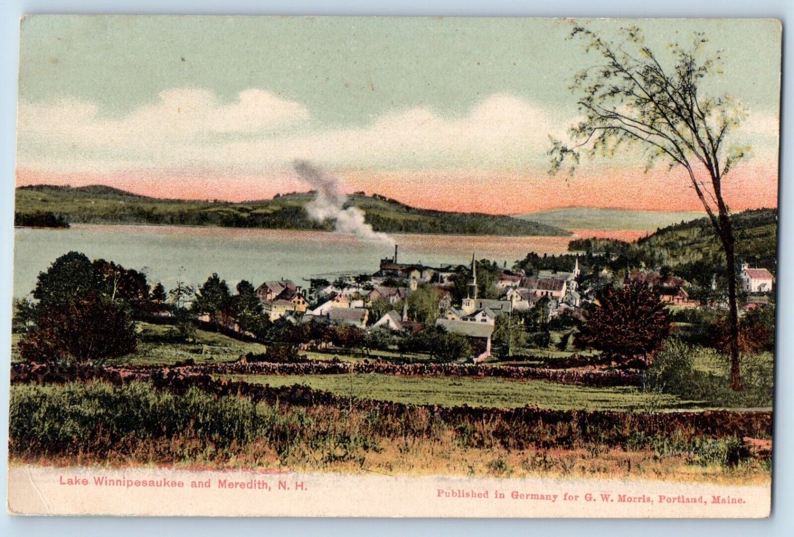 Meredith New Hampshire Postcard Lake Winnipesaukee Field c1905 Vintage Antique
