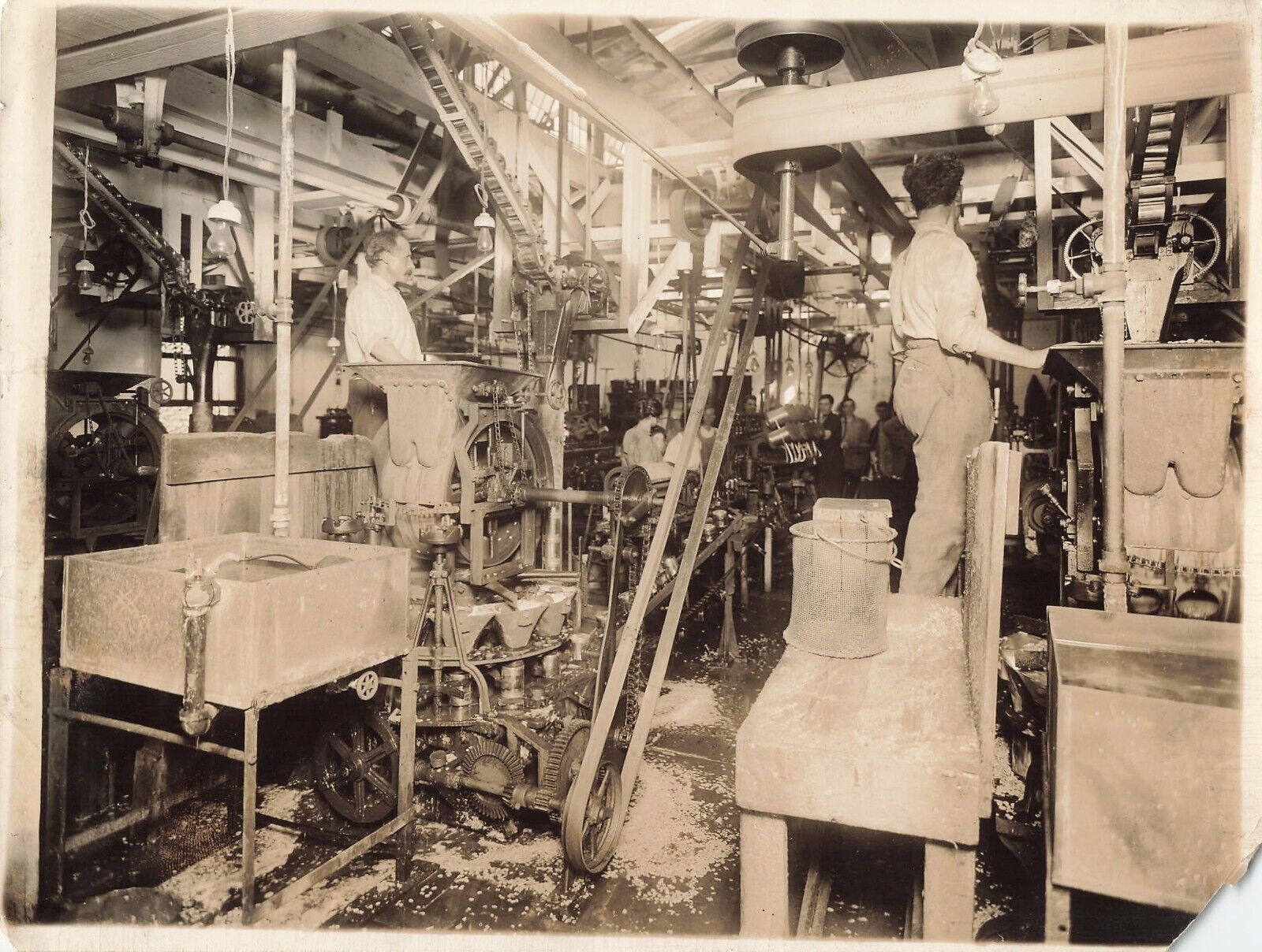 Canning Factory 1910s Press Photo Machinery Beau Freehold NJ Brown Bros *P134c