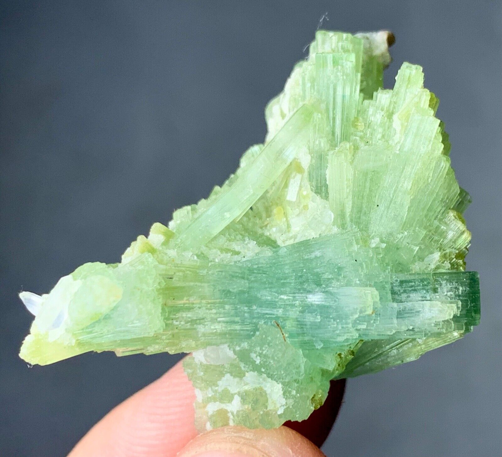50 Carat Bunch of  Tourmaline crystal Specimen  from Afghanistan