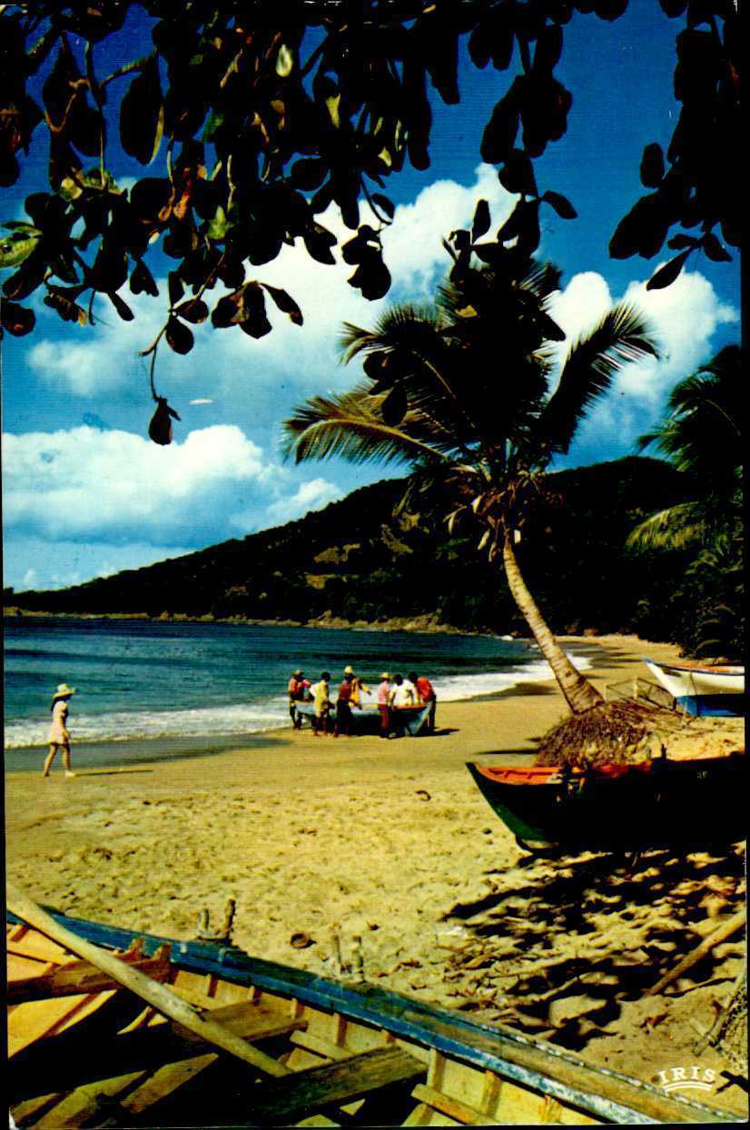 CE0738 guadeloupe back from fishing boats caribbean sea french anttilles palms