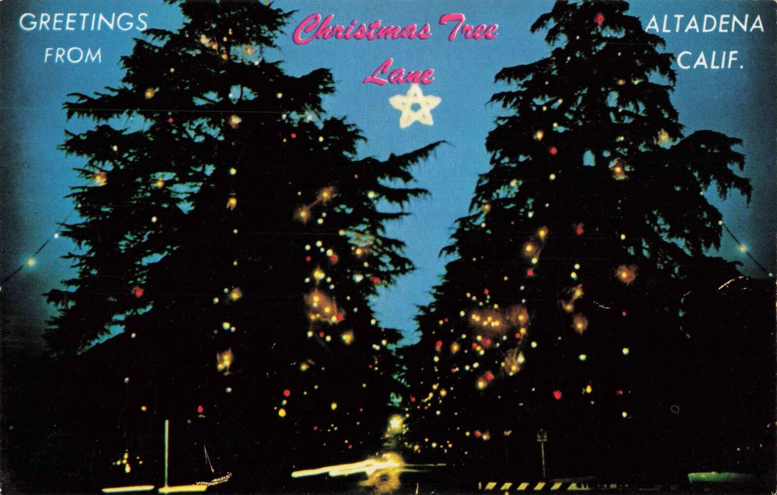 Greetings from Christmas Tree Lane Altadena California CA Chrome c1950 Postcard