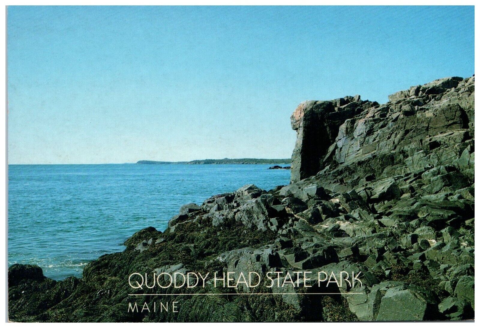 Quoddy Head State Park in Lubec, Maine Postcard