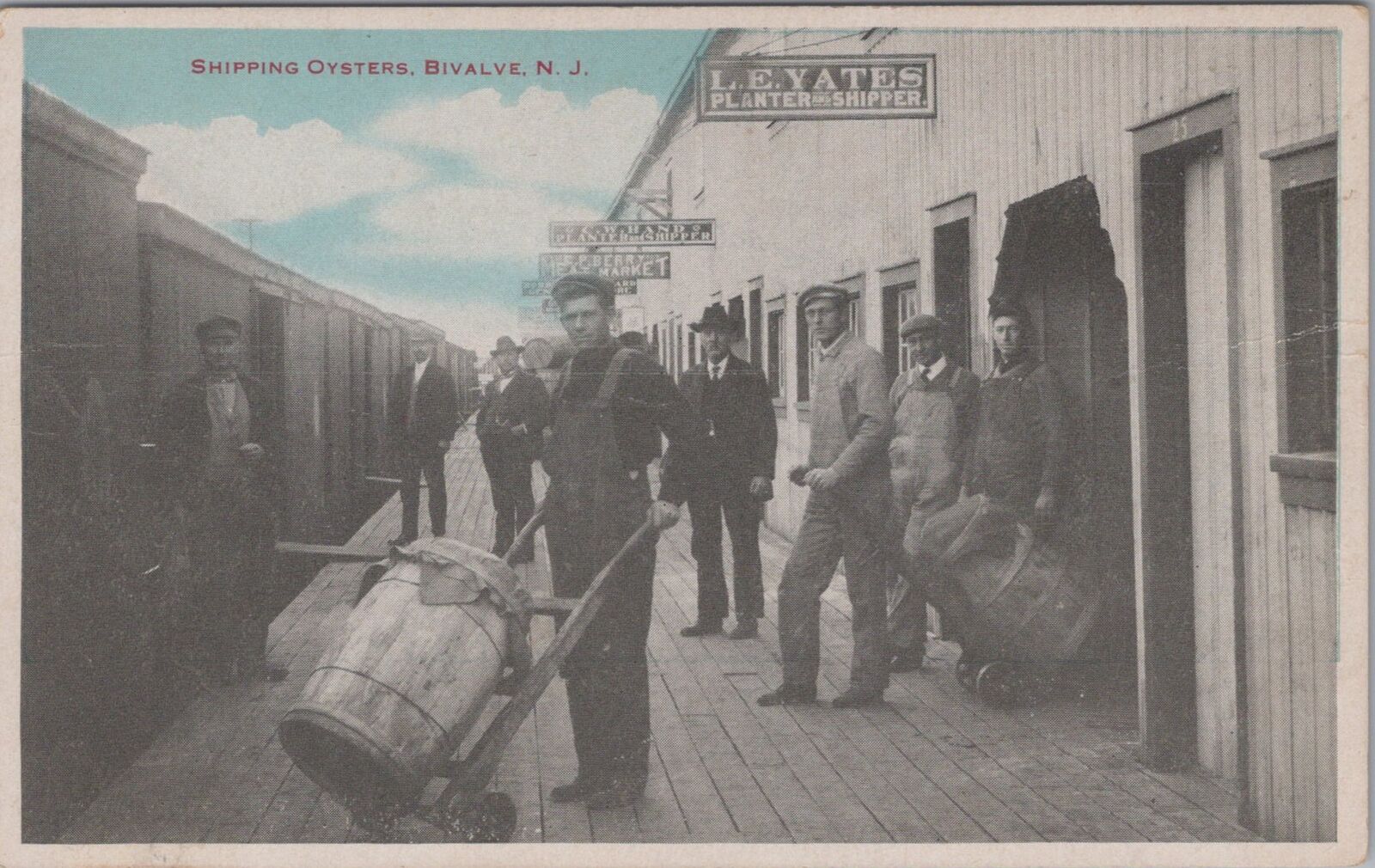 Shipping Oysters, Bivalve L.E.Yates Shipper New Jersey Auburn Postcard
