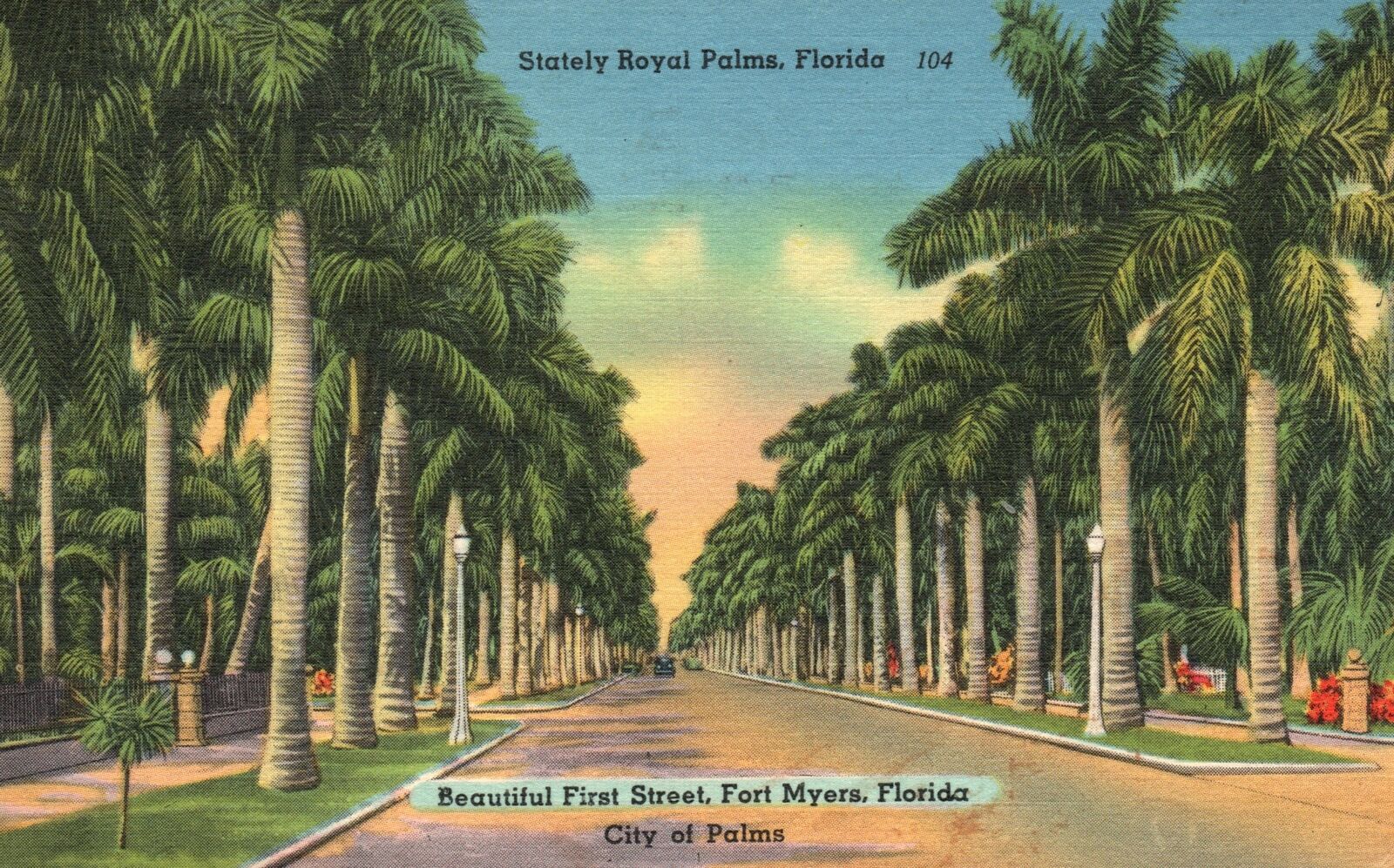 Vintage Postcard 1959 Stately Royal Palms First Street Fort Myers Florida FL