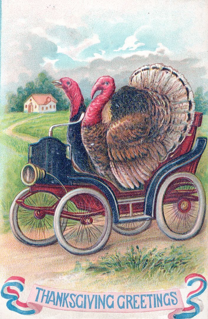 THANKSGIVING - Turkeys In Car Thanksgiving Greetings Postcard