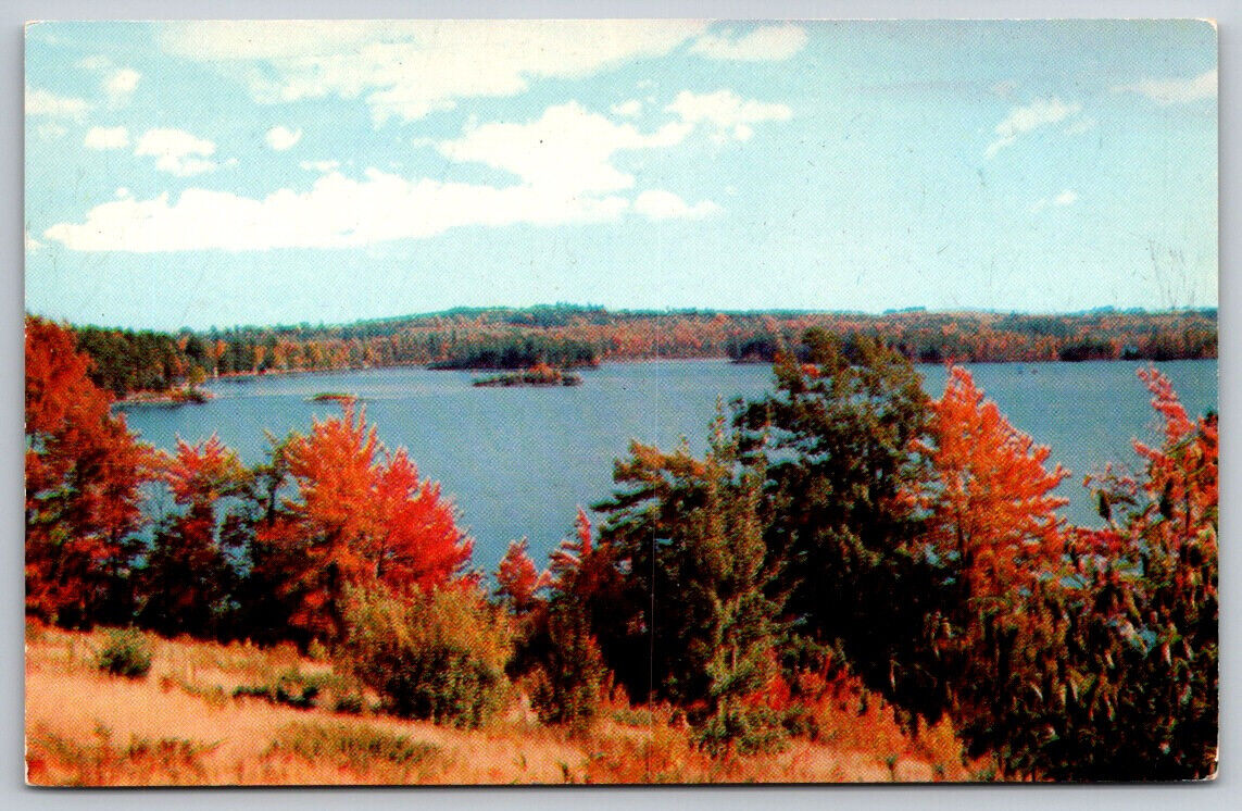 Lake St. George Showing Pinola Point From Scenic Turnout Liberty Maine Postcard