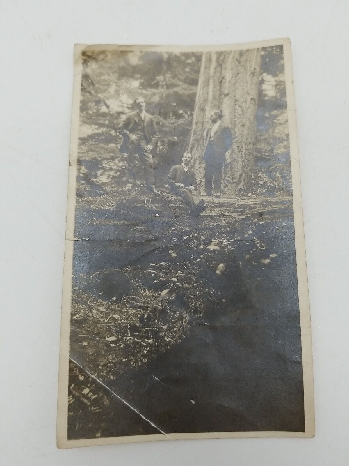 1910 Original Photograph  Timber Industry Workers Seattle Washington