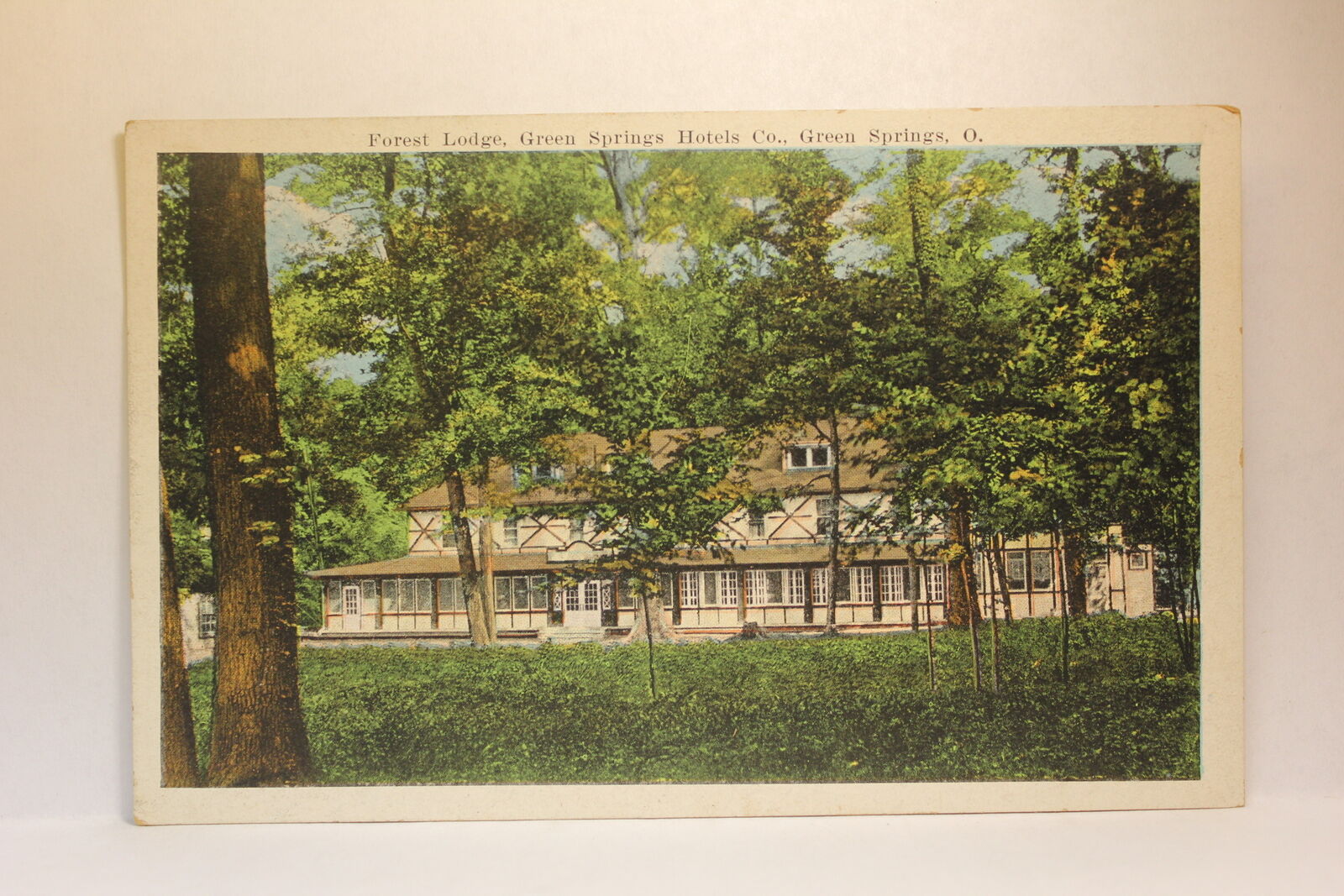 Postcard Floral Lodge Green Springs Hotels Co. Green Springs OH Q27