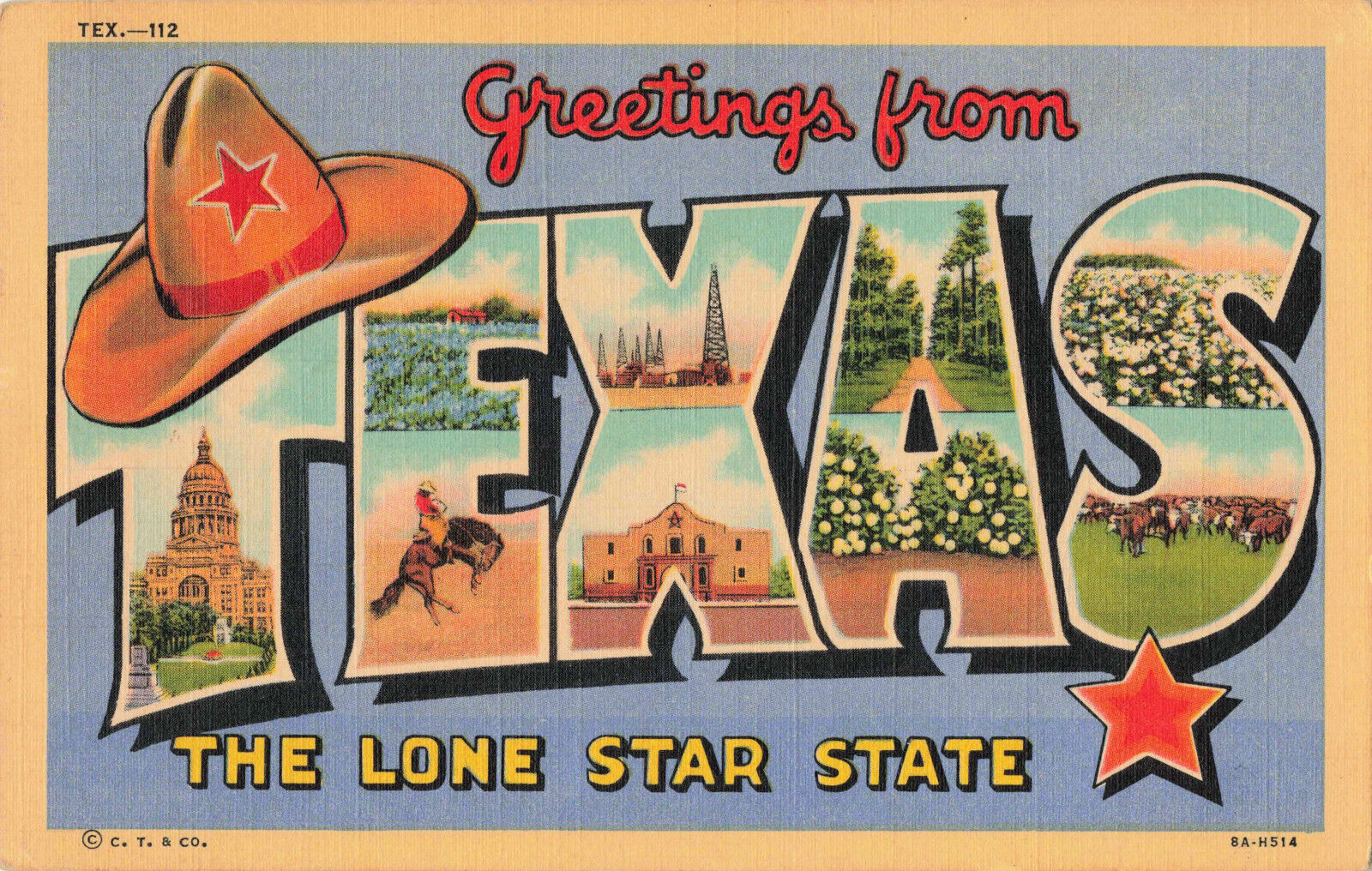 Postcards: Texas And Texas Cities Large Letter - Sold Individually - You Pick