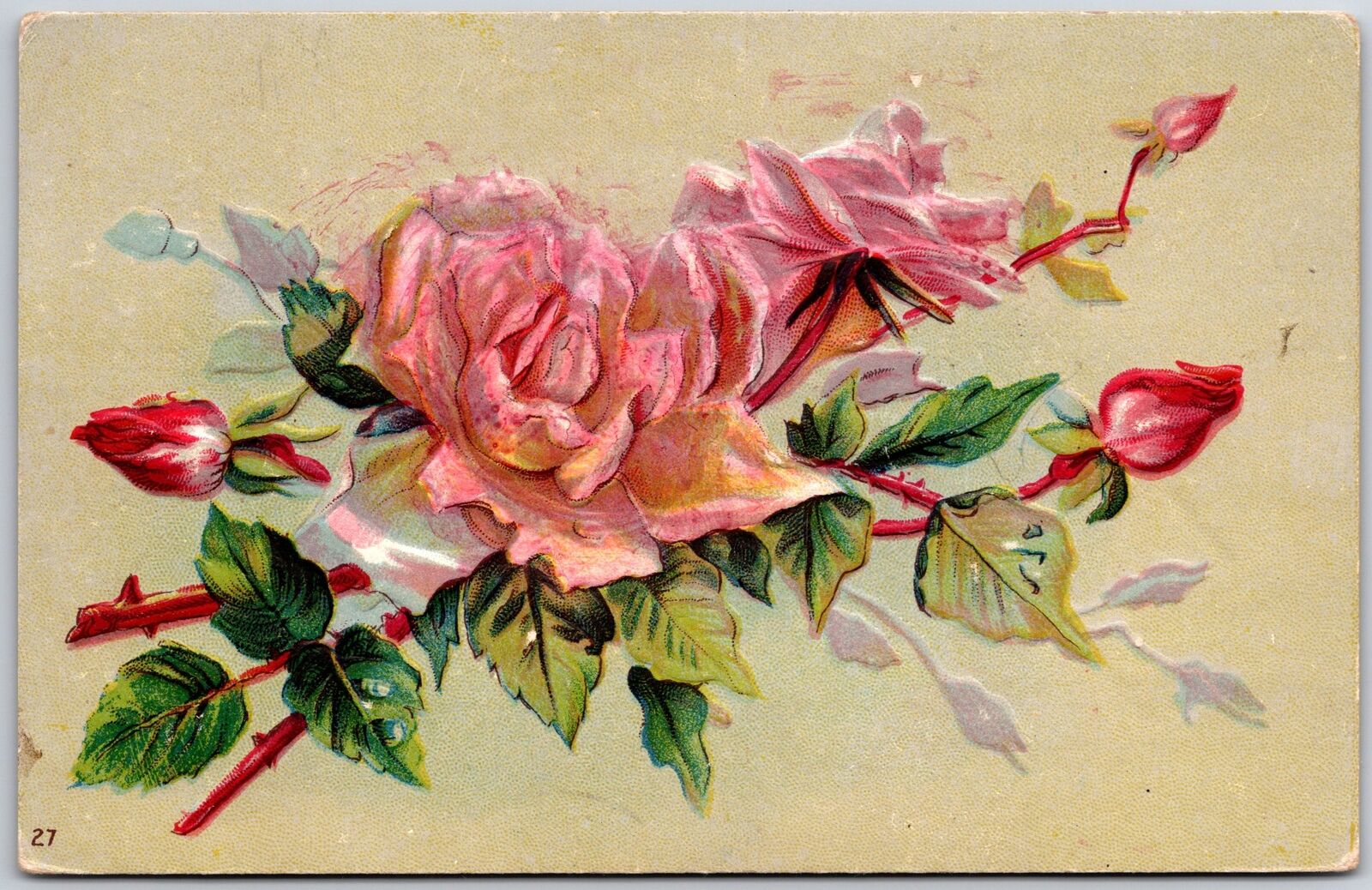 1911 Pink Roses Large Print Flower Greetings & Wishes Card Posted Postcard