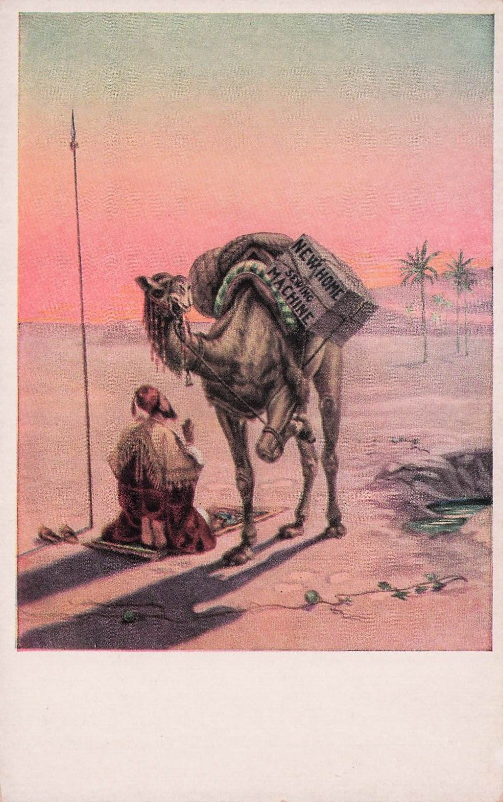 Postcard Vintage (1)Camel/Man in Prayer UP   (353)