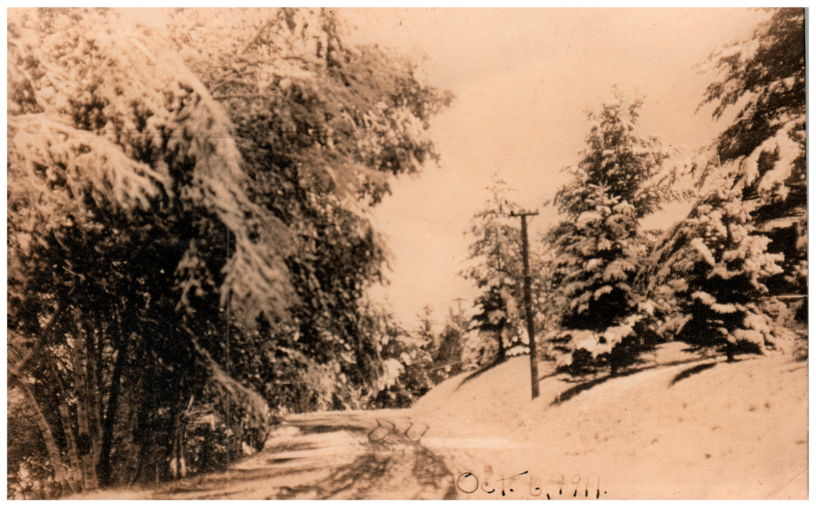 Postcard Vintage RPPC 1911 Snow Covered Country Road