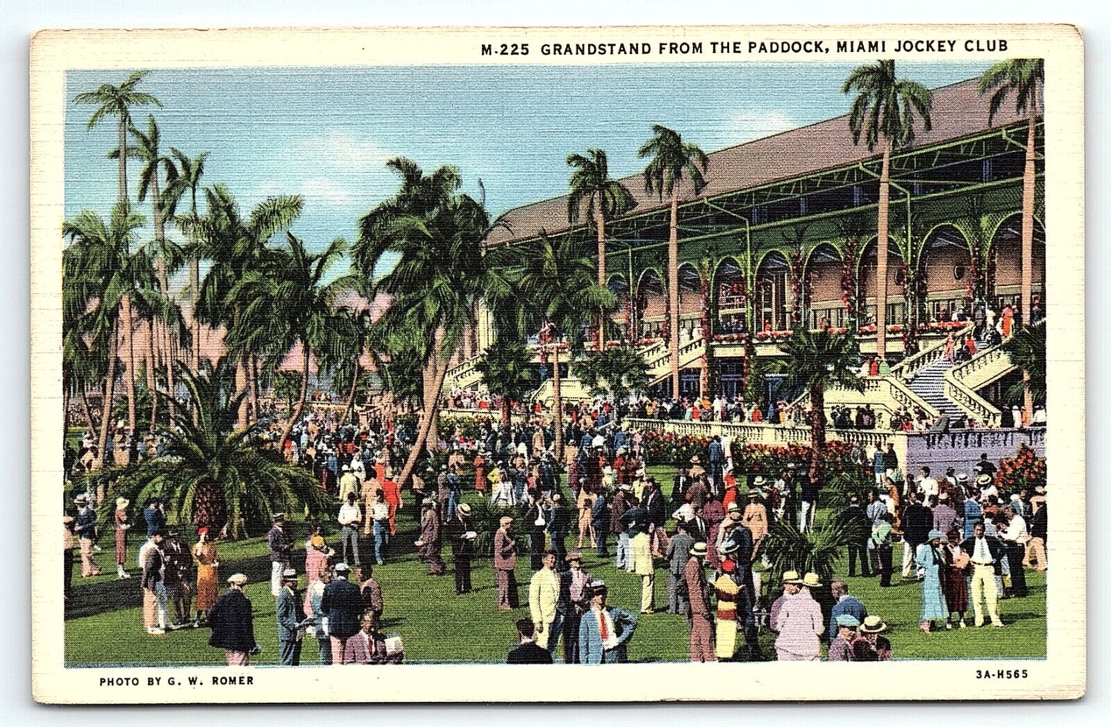 1933 MIAMI FLORIDA MIAMI JOCKEY CLUB GRANDSTAND FROM PADDOCK POSTCARD P2705