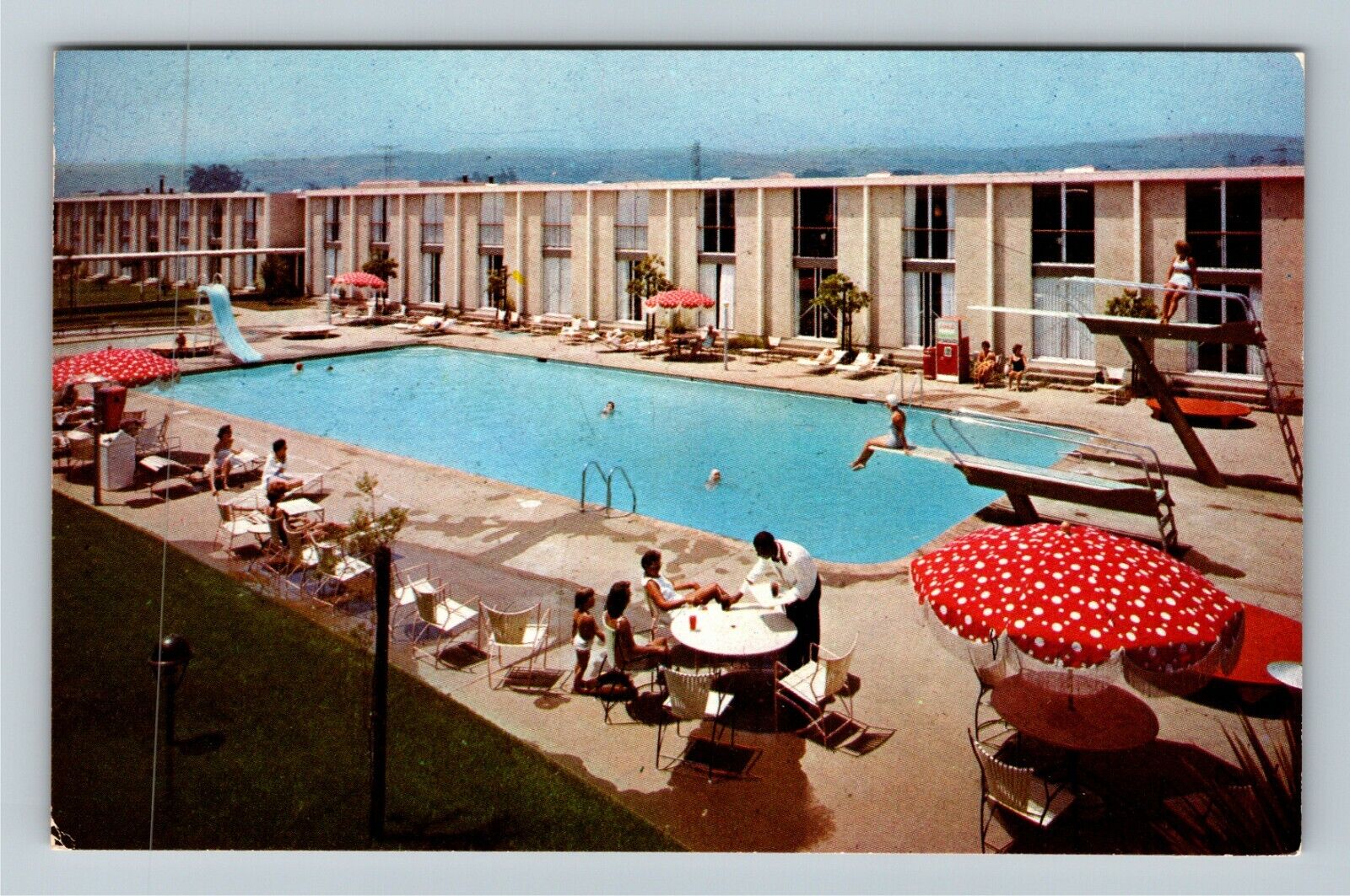 San Francisco CA-California Hilton Hotel Pool Beauty Antique Vintage Postcard