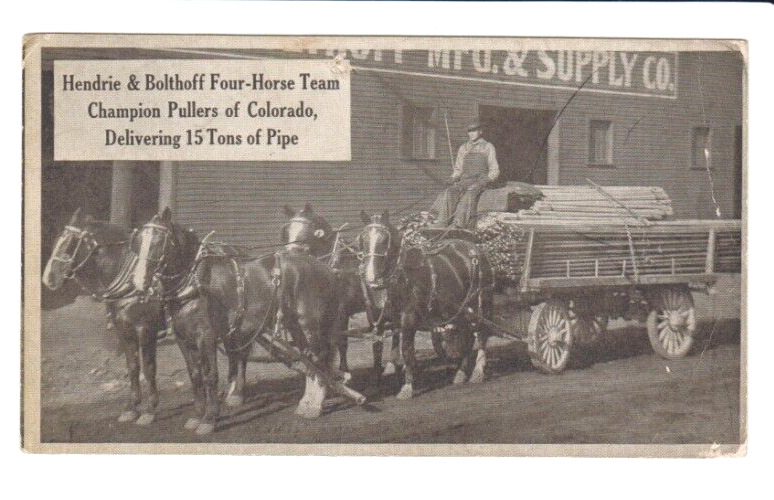 Postcard CO Denver Colorado Hendrie & Bolthoff 4 Horse Team Champion Pullers A22