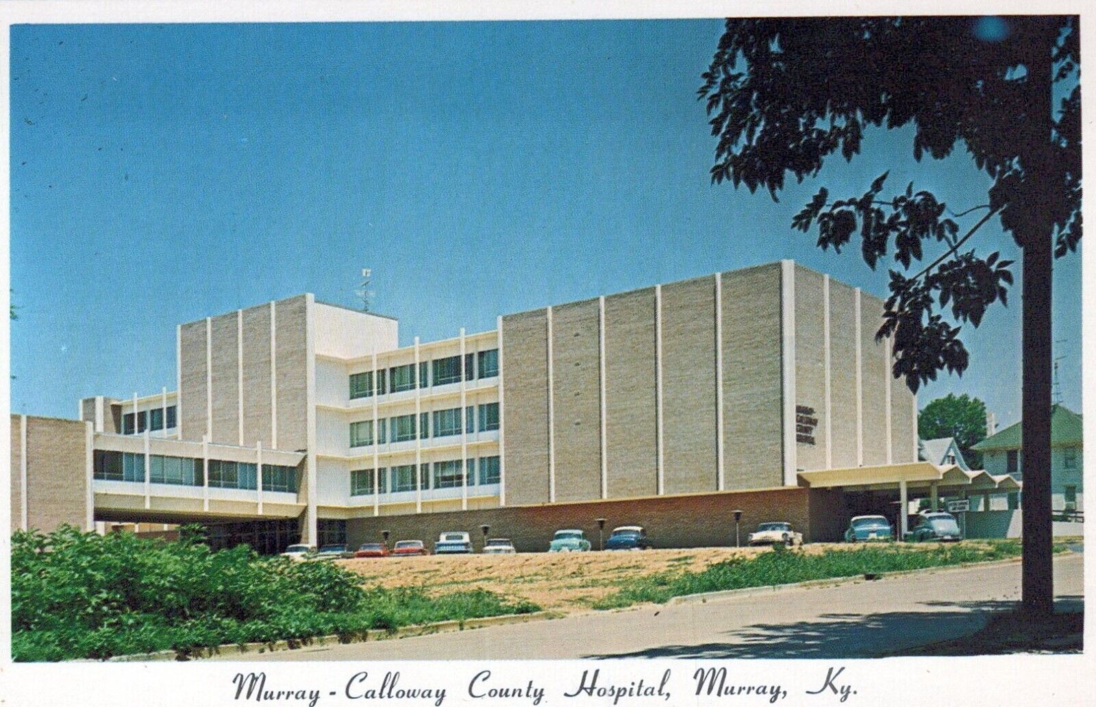 Murray Kentucky Murray - Calloway County Hospital Postcard