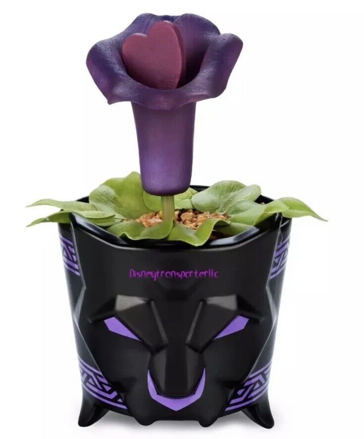Disney Parks Black Panther  Succulent  Flower Planter – World of Wakanda NEW
