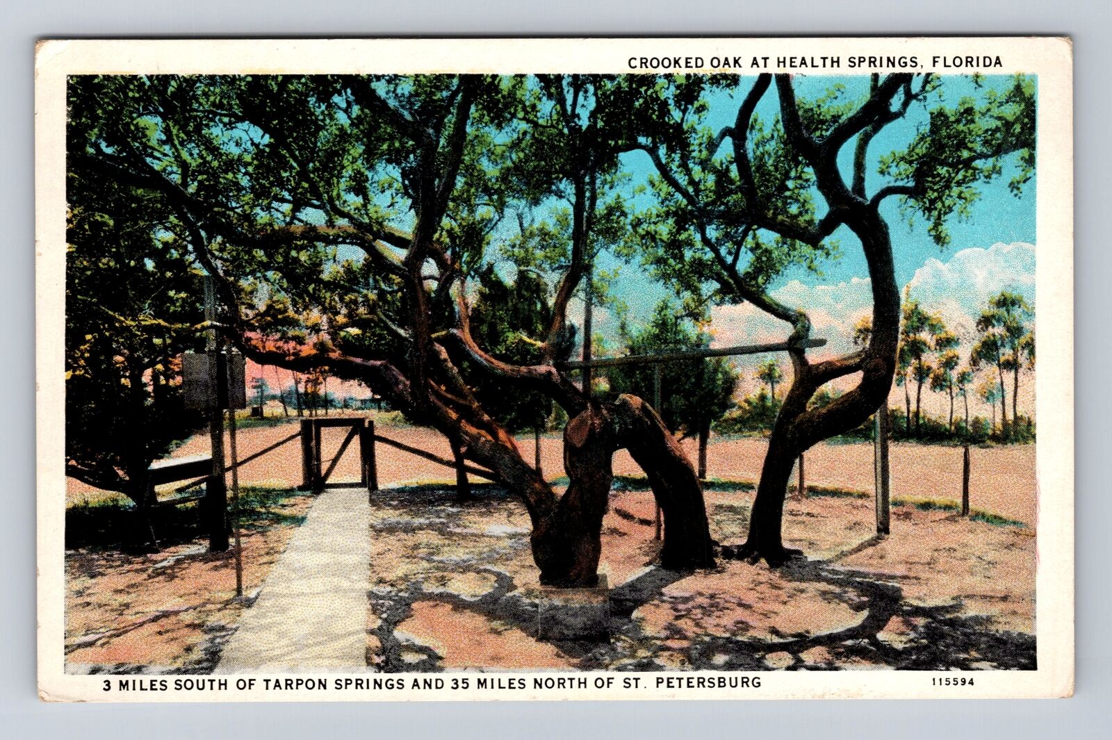 Health Springs FL-Florida, Crooked Oak, Antique, Vintage Souvenir Postcard
