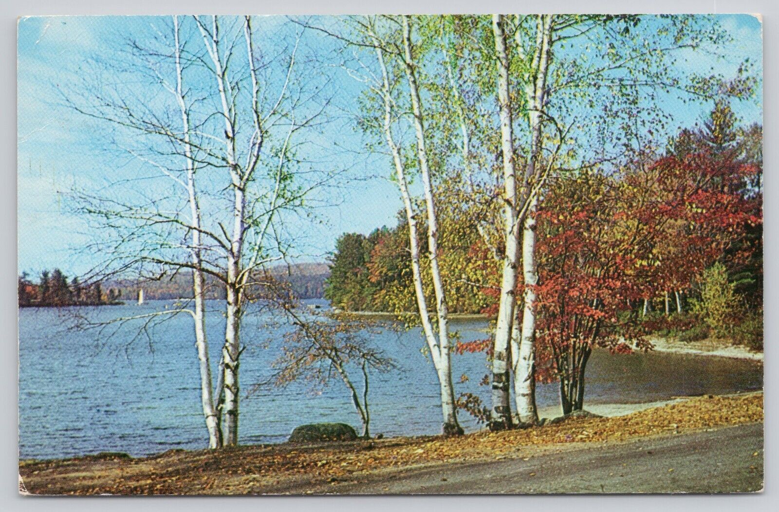 Fall Colors Trees Lake Sunapee New Hampshire Vintage Postcard