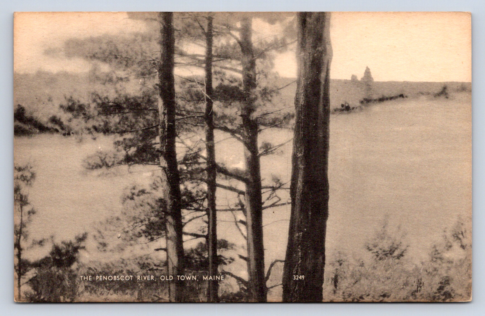 Vintage Postcard Penobscot River Old Town Maine