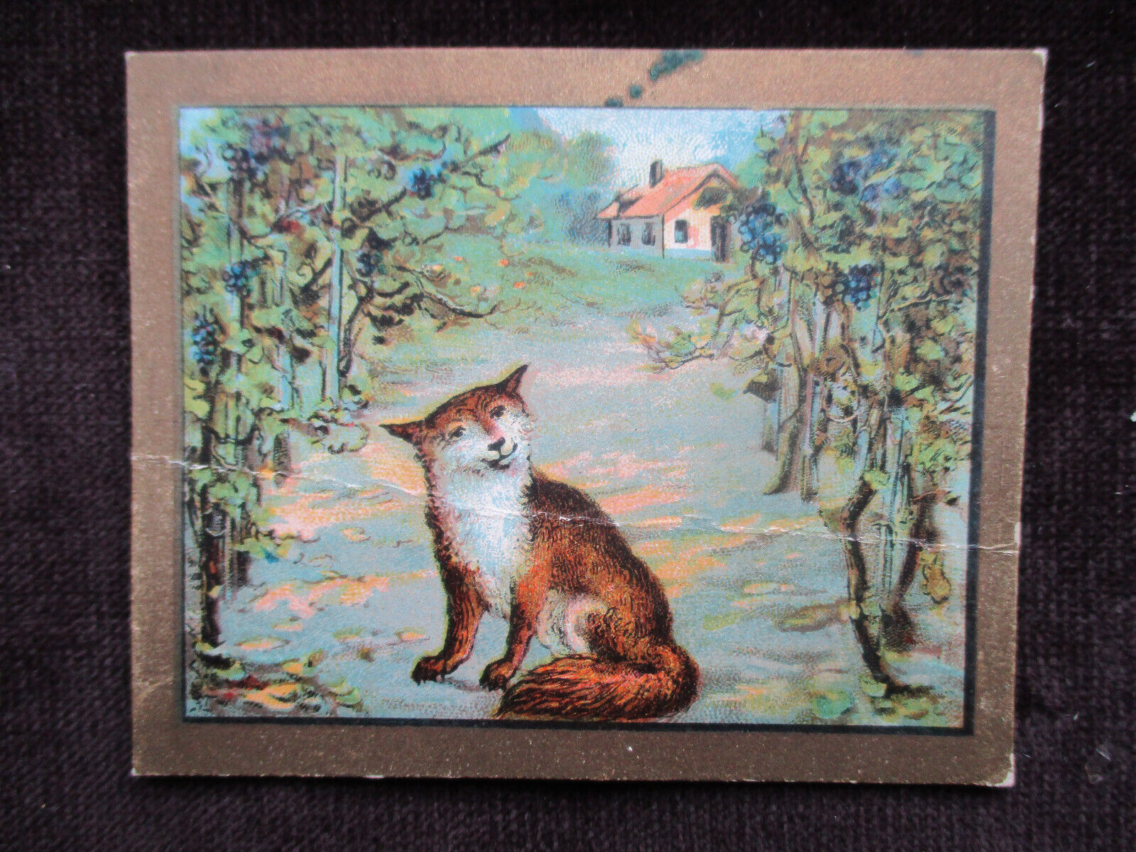 c. 1910\'s  Antique THE FOX AND THE GRAPES Turkish Cigarettes Tobacco Card