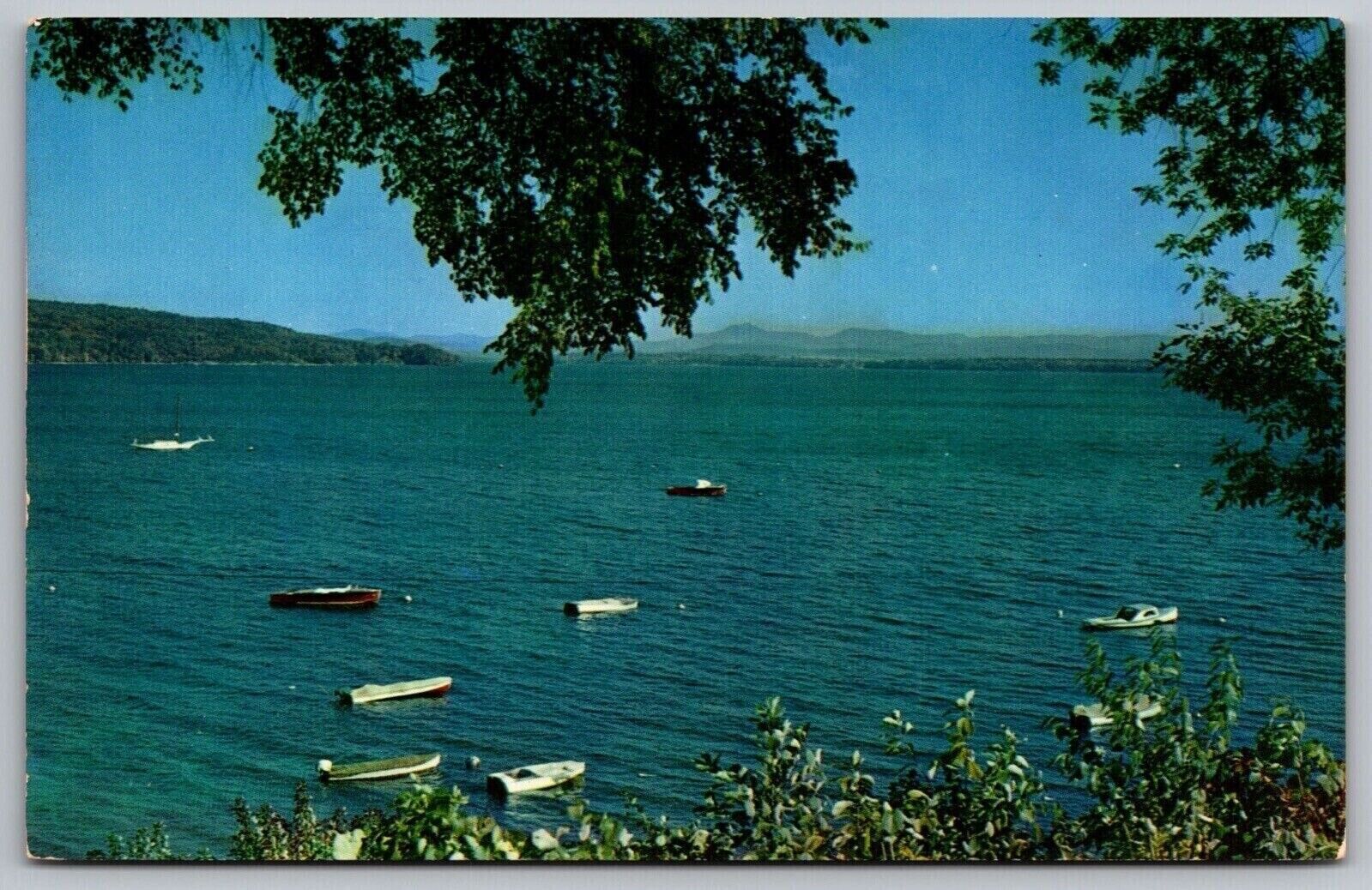 Westport Yacht Club Boats Lake Champlain New York Mountains Vintage UNP Postcard