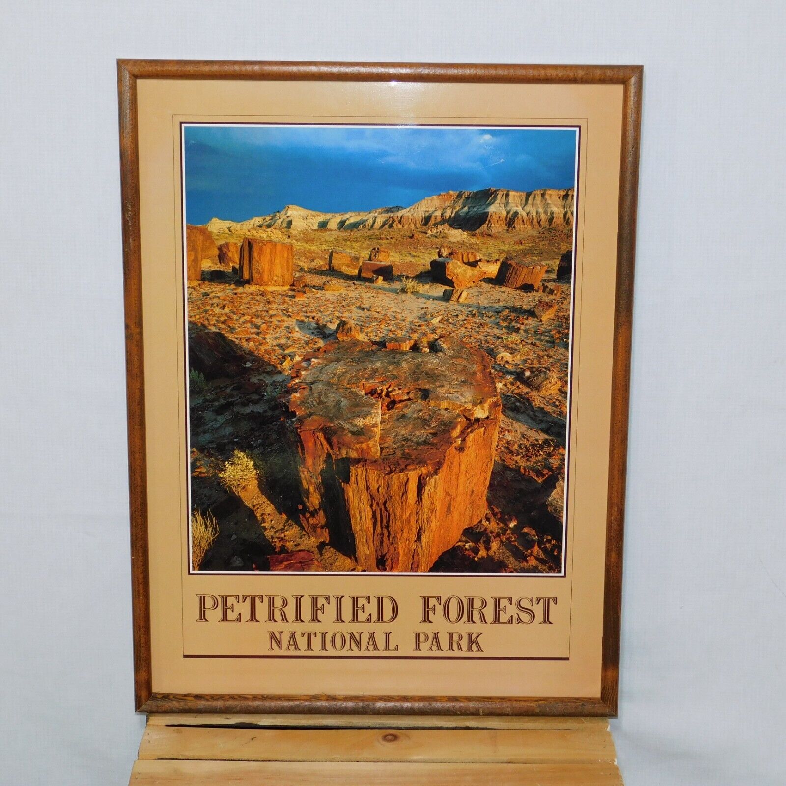 PETRIFIED FOREST NATIONAL PARK Photo Print Poster on Hardboard 25X19 Oak Framed