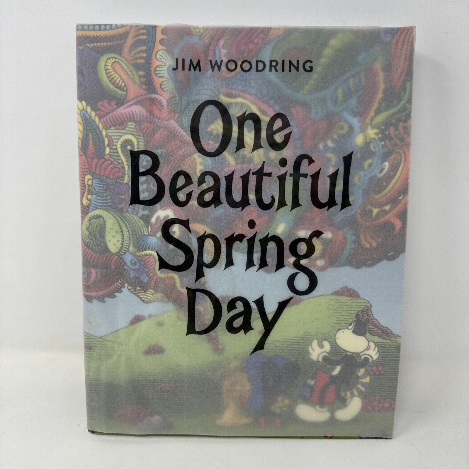 One Beautiful Spring Day, Paperback by Woodring, Jim, BEAUTIFUL CONDITION