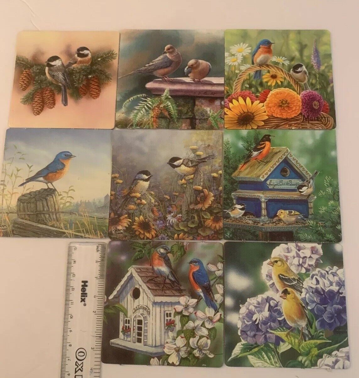 Beautiful Vivid 8 Bird Card Images Double Sided 3.5x3.5 Measurements