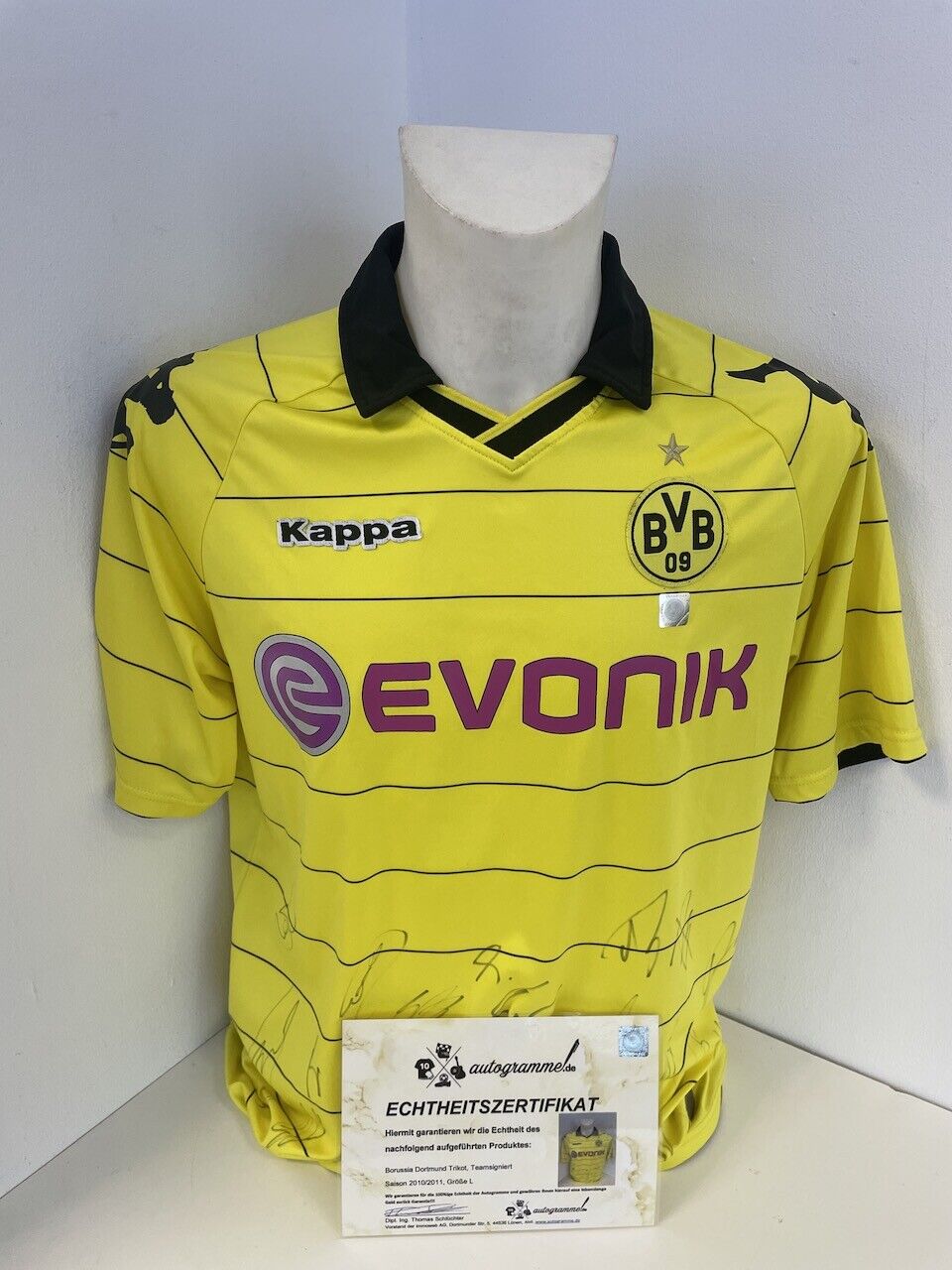 Bvb Jersey 2010/2011 Teamsigniert Borussia Dortmund COA New Kappa L