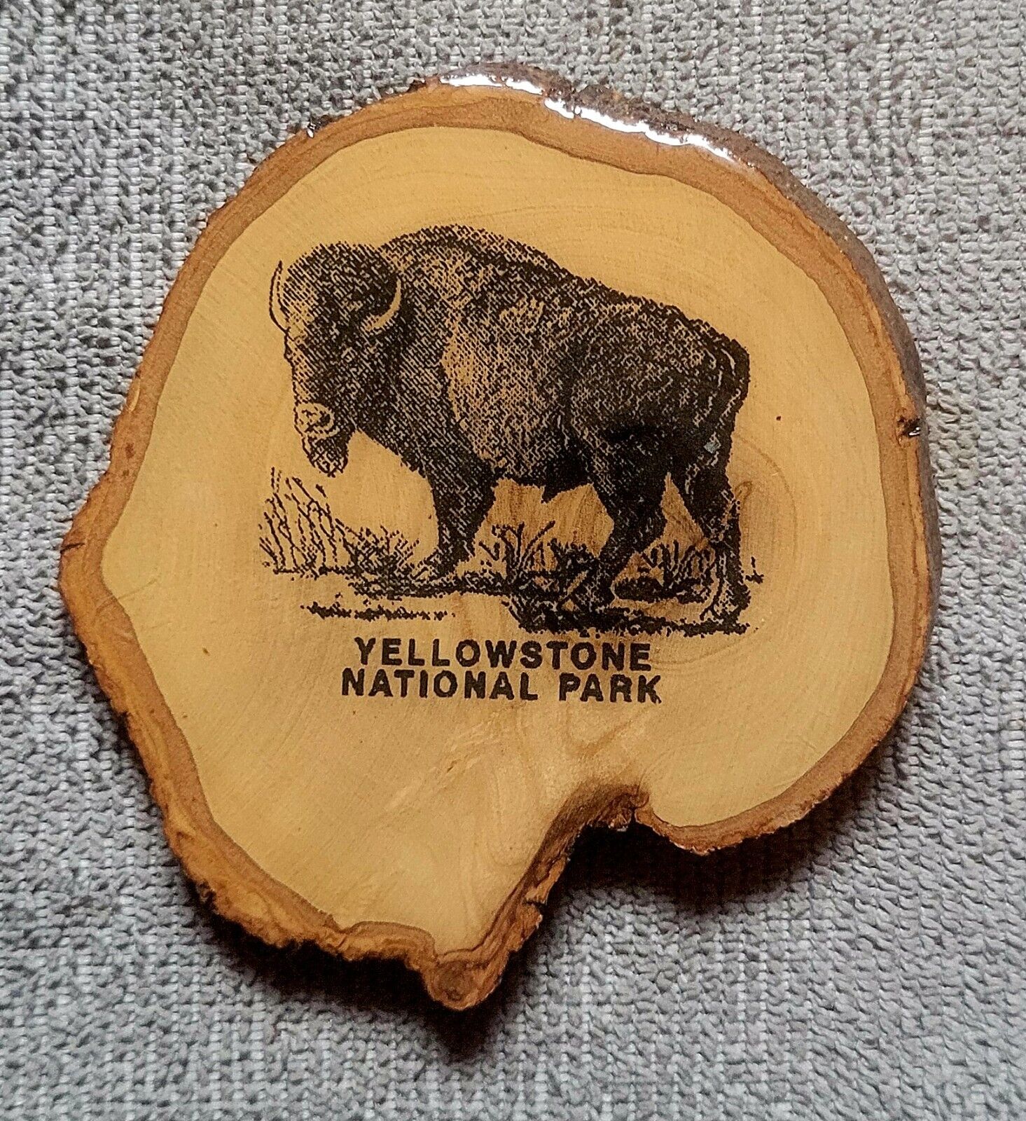 Yellowstone National Park Buffalo Refrigerator Magnet Souvenir 