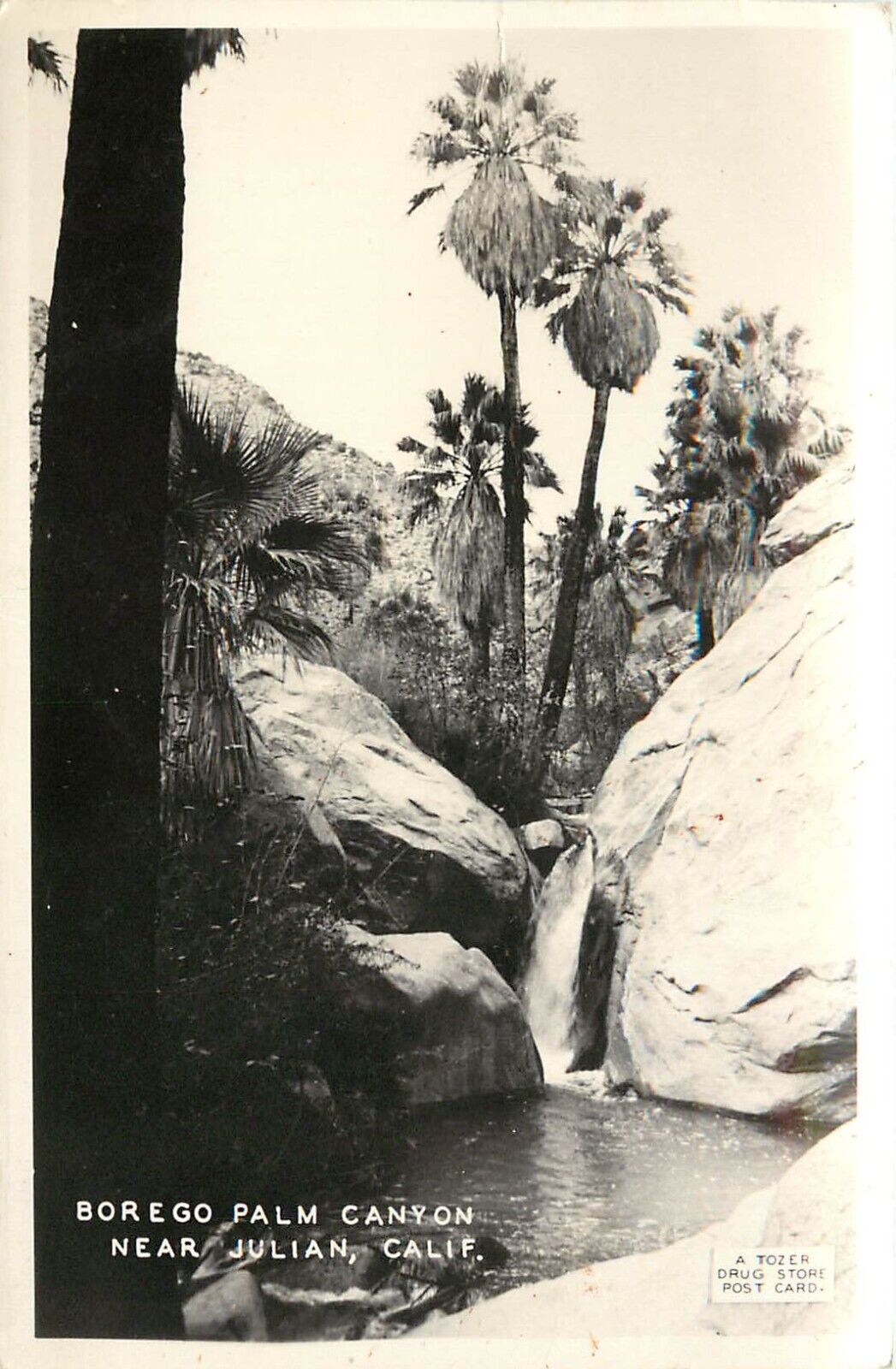 RPPC Postcard Borrego Palm Canyon near Julian CA, Tozer Drug Store Photo