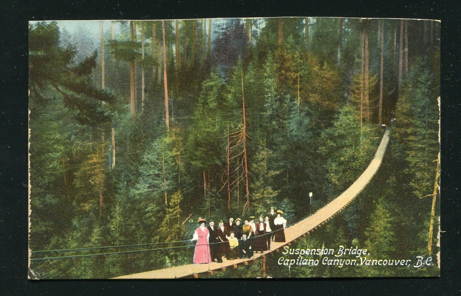 Capilano Canyon Suspension Bridge, Vancouver Canada Postcard, Unposted