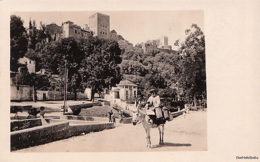 Postcard RPPC Alhambra Towers Granada Spain 