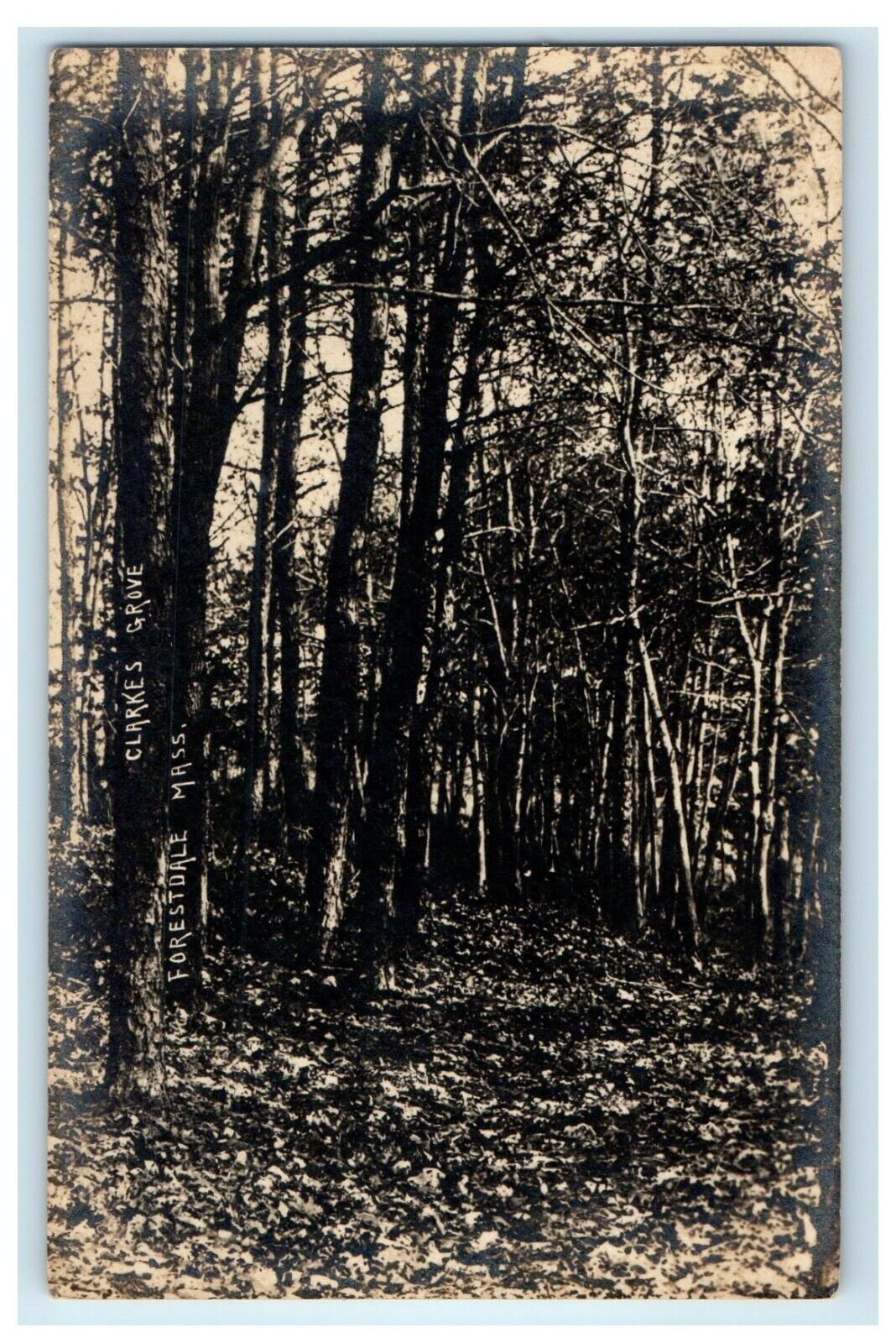 c1910\'s Clarkes Grove Forestdale Massachusetts MA RPPC Photo Antique Postcard