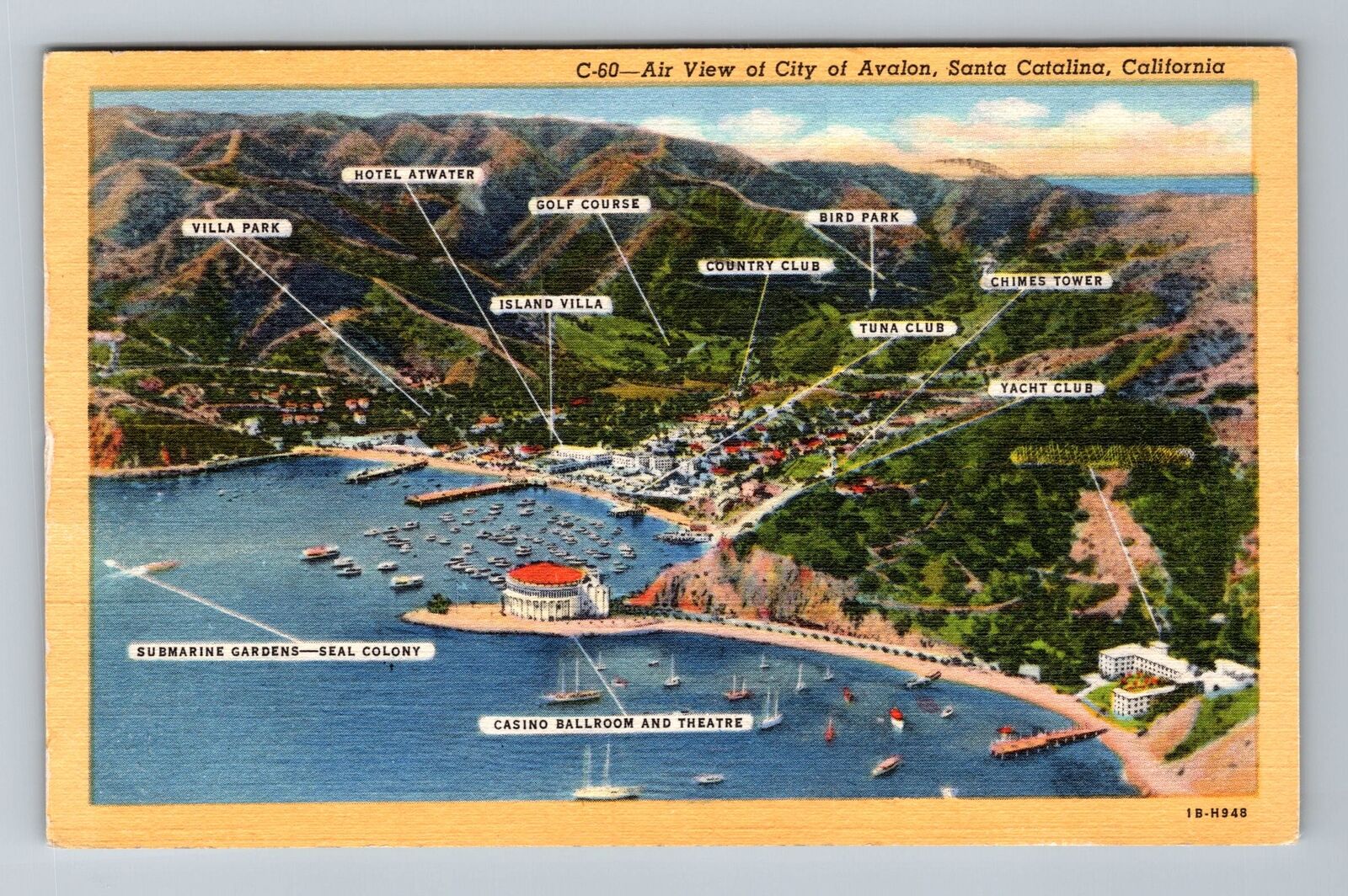 Santa Catalina CA-California Air View City Avalon c1949 Vintage Postcard