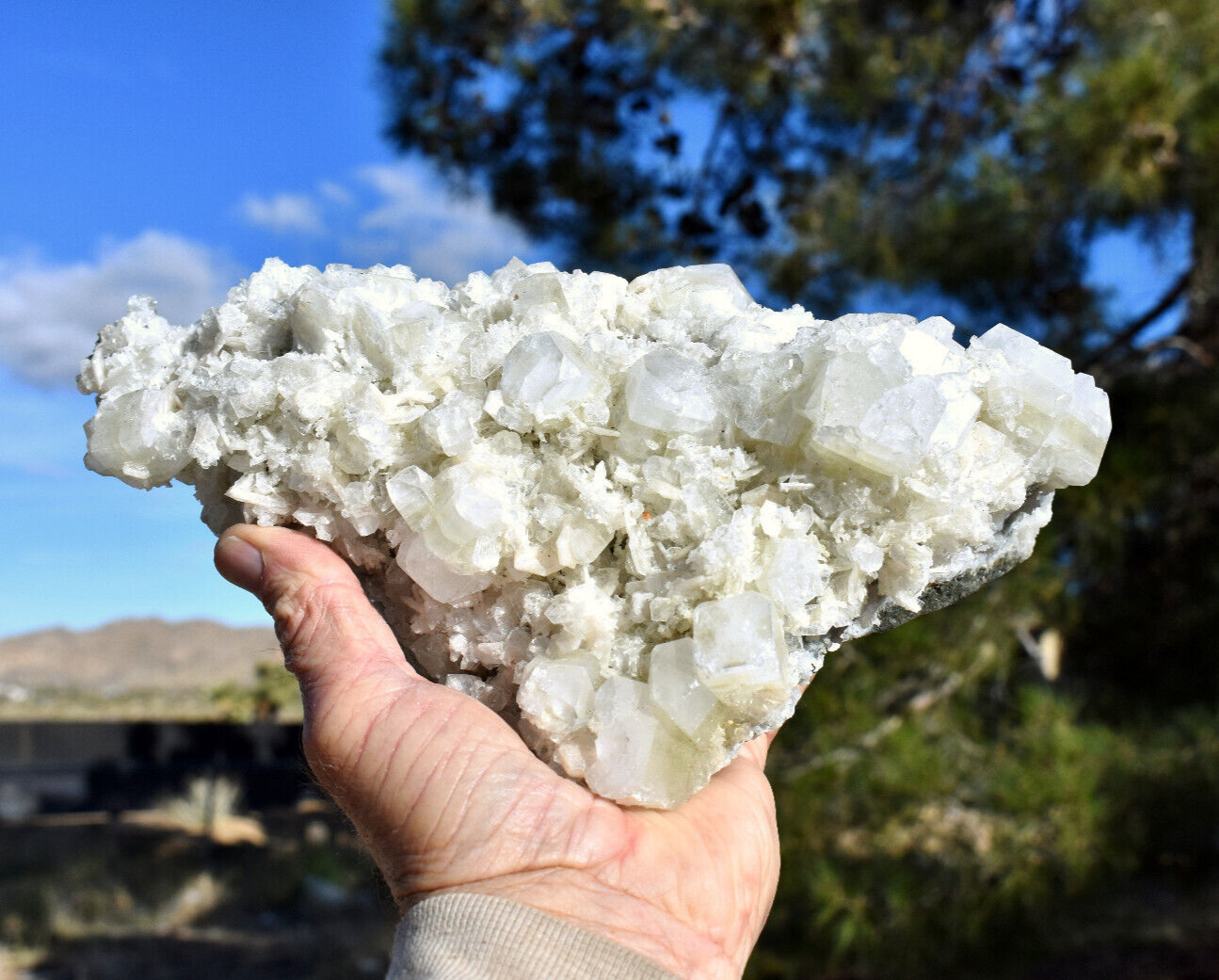 Extra Large APOPHYLLITE Crystal Mineral Specimen * Deccan Trap, India * 10x6x5\