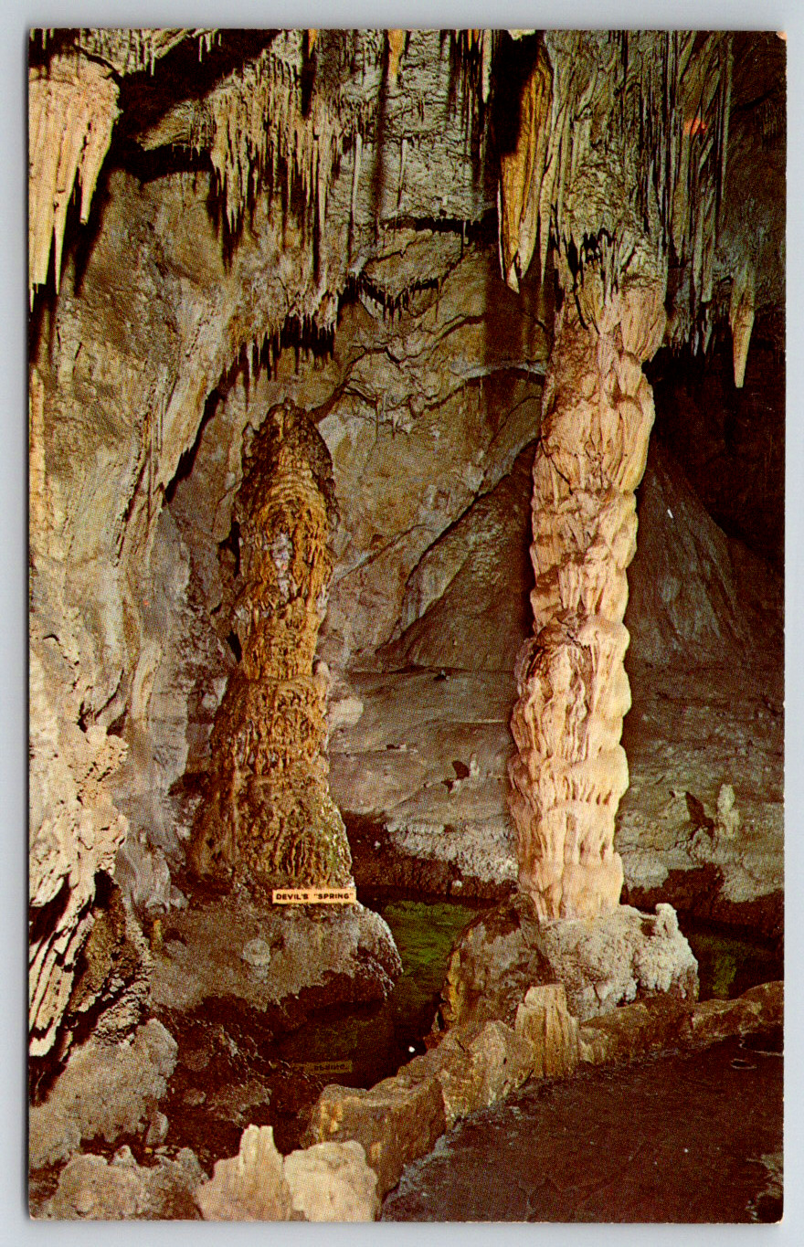 c1960s Devil\'s Spring Carlsbad Caverns New Mexico Vintage Postcard
