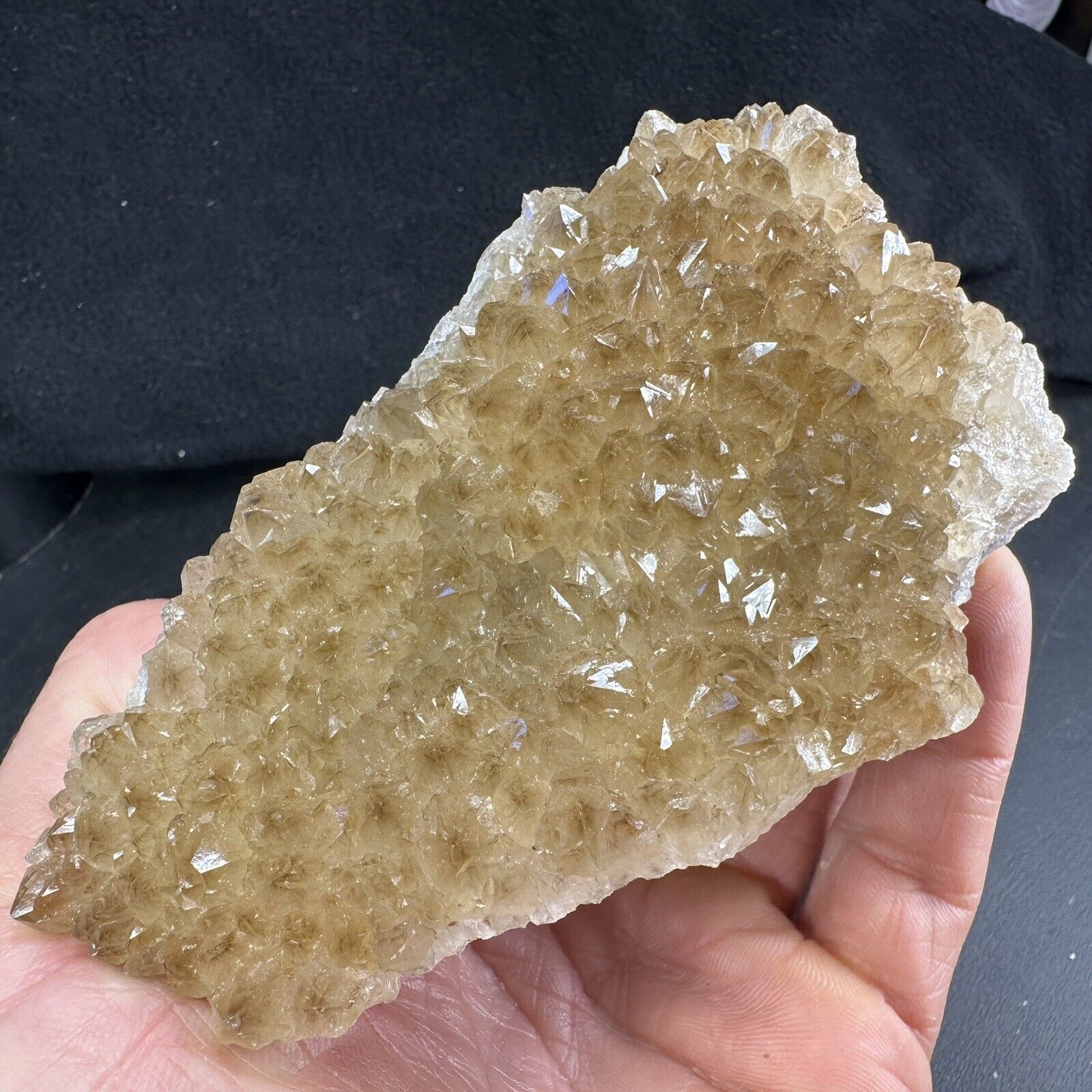 Phantom Rootbeer Citrine Quartz Crystal Druse Cluster | Missouri