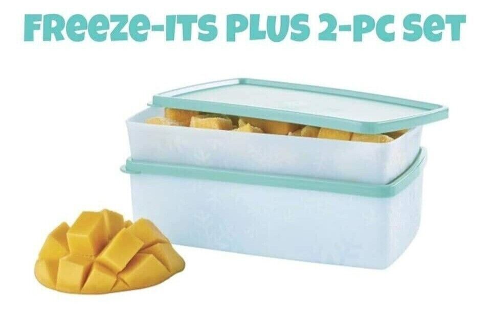 Tupperware Set of 2-Freeze-It Plus Medium Shallow Rectangles-NEW-SHIPPING INCL