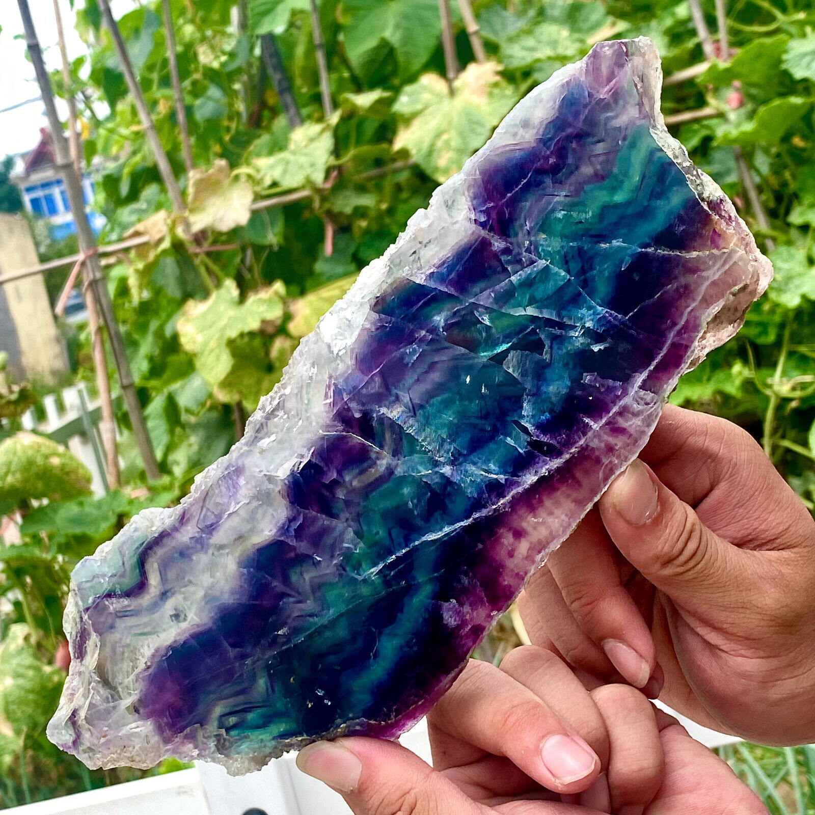 1.6LB Natural beautiful Rainbow Fluorite Crystal flake original stone specimen