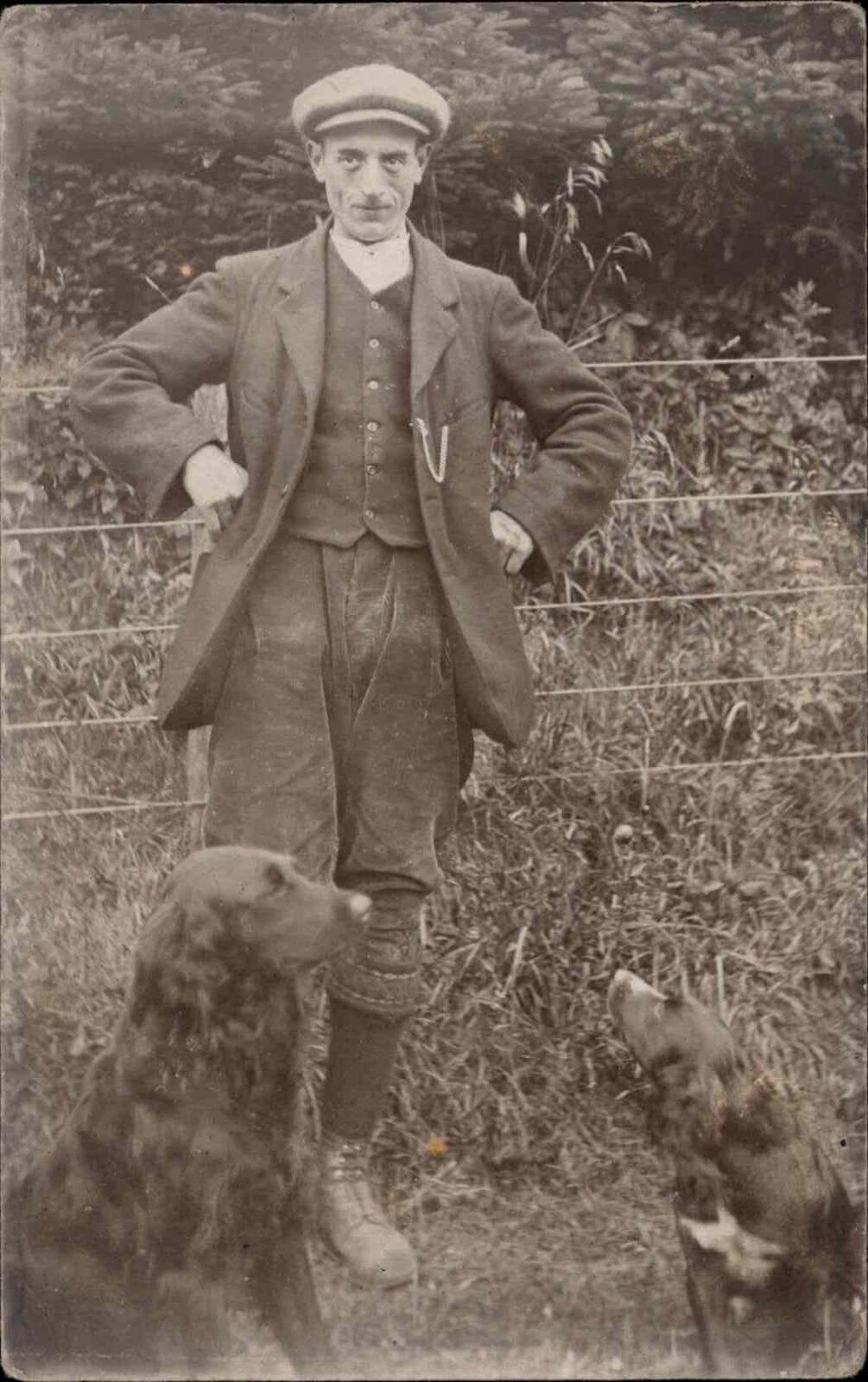 Dapper Man with Hunting Dogs Spaniels Amateur Photography c1910 RPPC PC