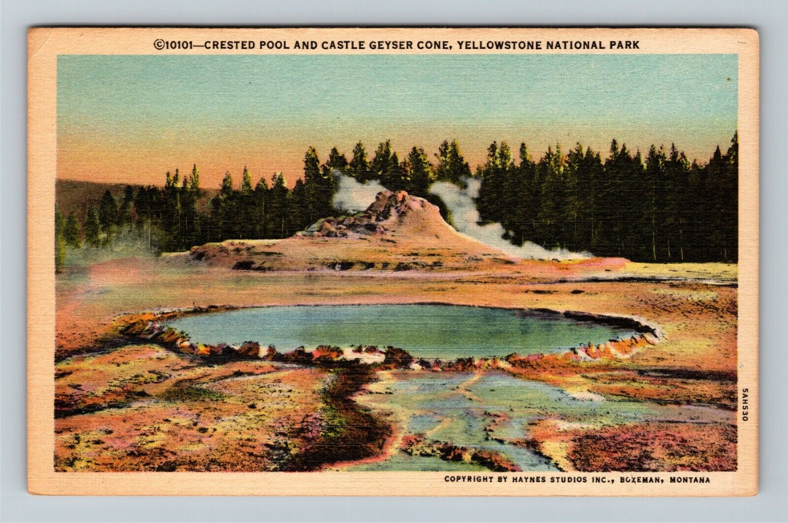 WY-Wyoming, Yellowstone National Park, Castle Geyser Cone, Pool Vintage Postcard