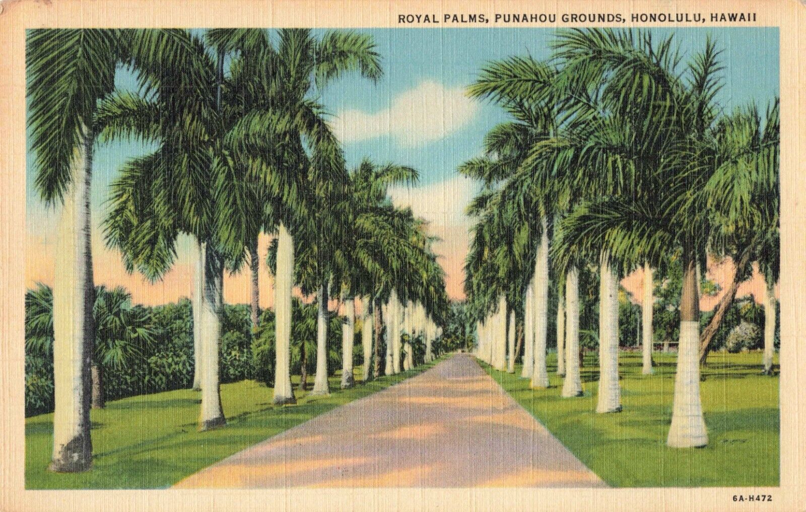 Honolulu HI Hawaii, Royal Palms Punahou Grounds, Vintage Postcard