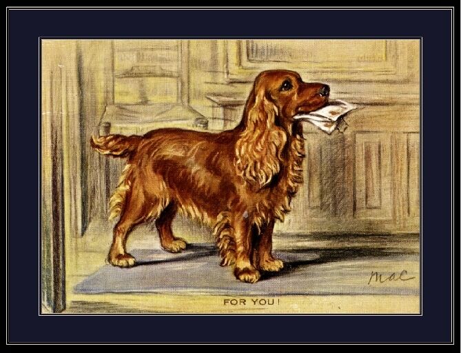 English Print Golden Cocker Spaniel Puppy Dog Dogs Vintage Art Picture Poster