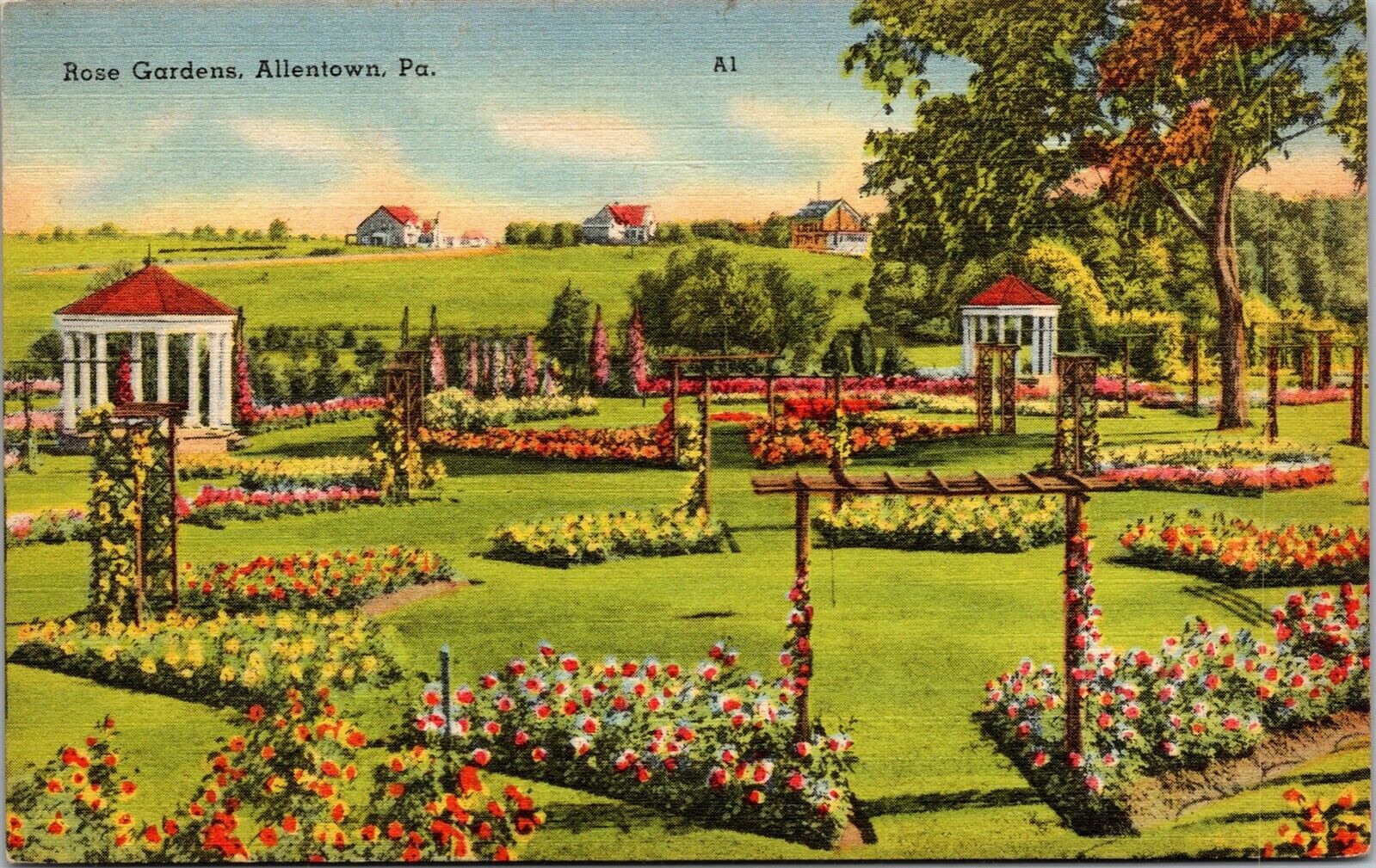 Vtg Allentown Pennsylvania PA Rose Gardens 1940s Unposted Linen Postcard