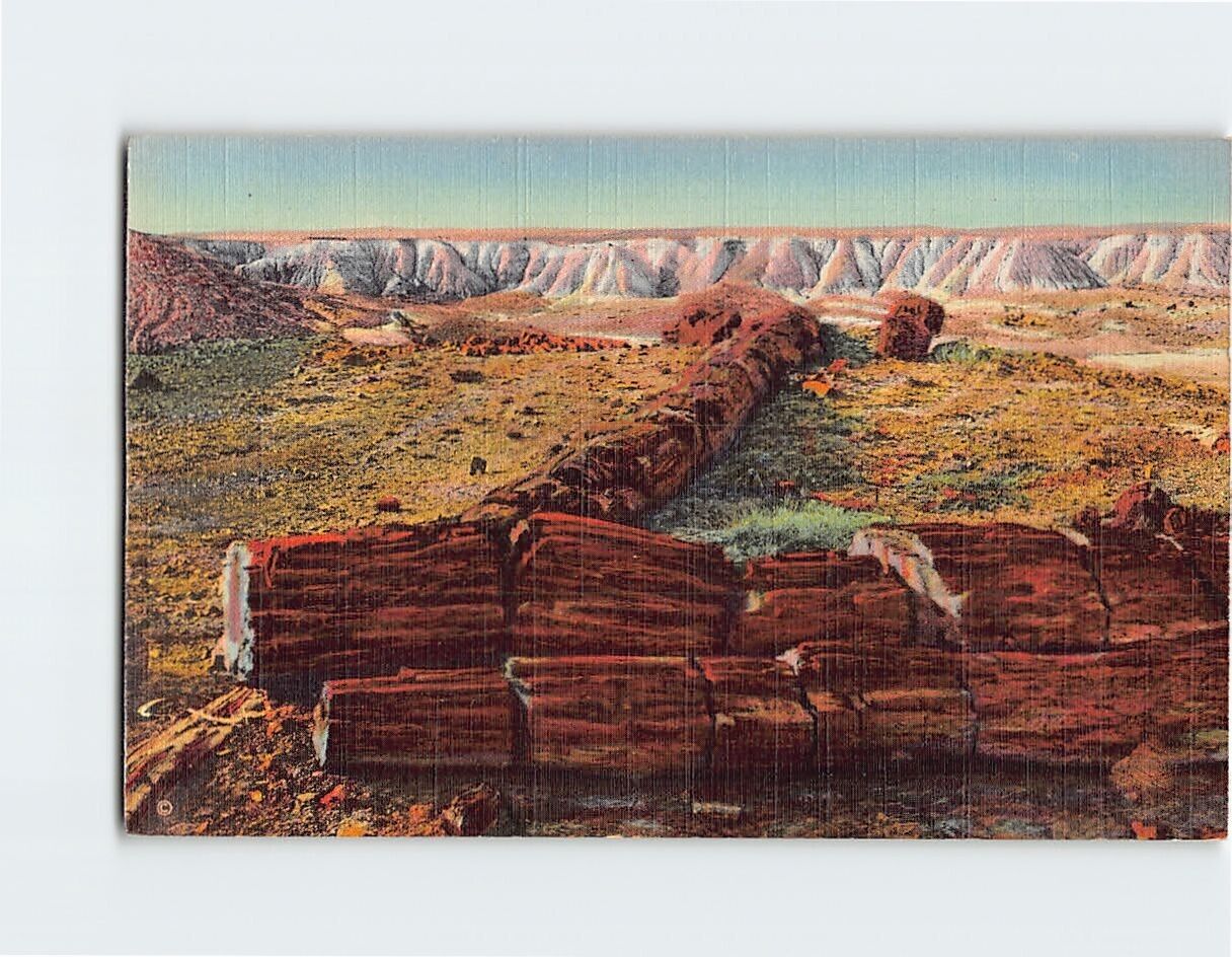 Postcard The Twin Sisters (in Second Forest) Petrified Forest Arizona USA